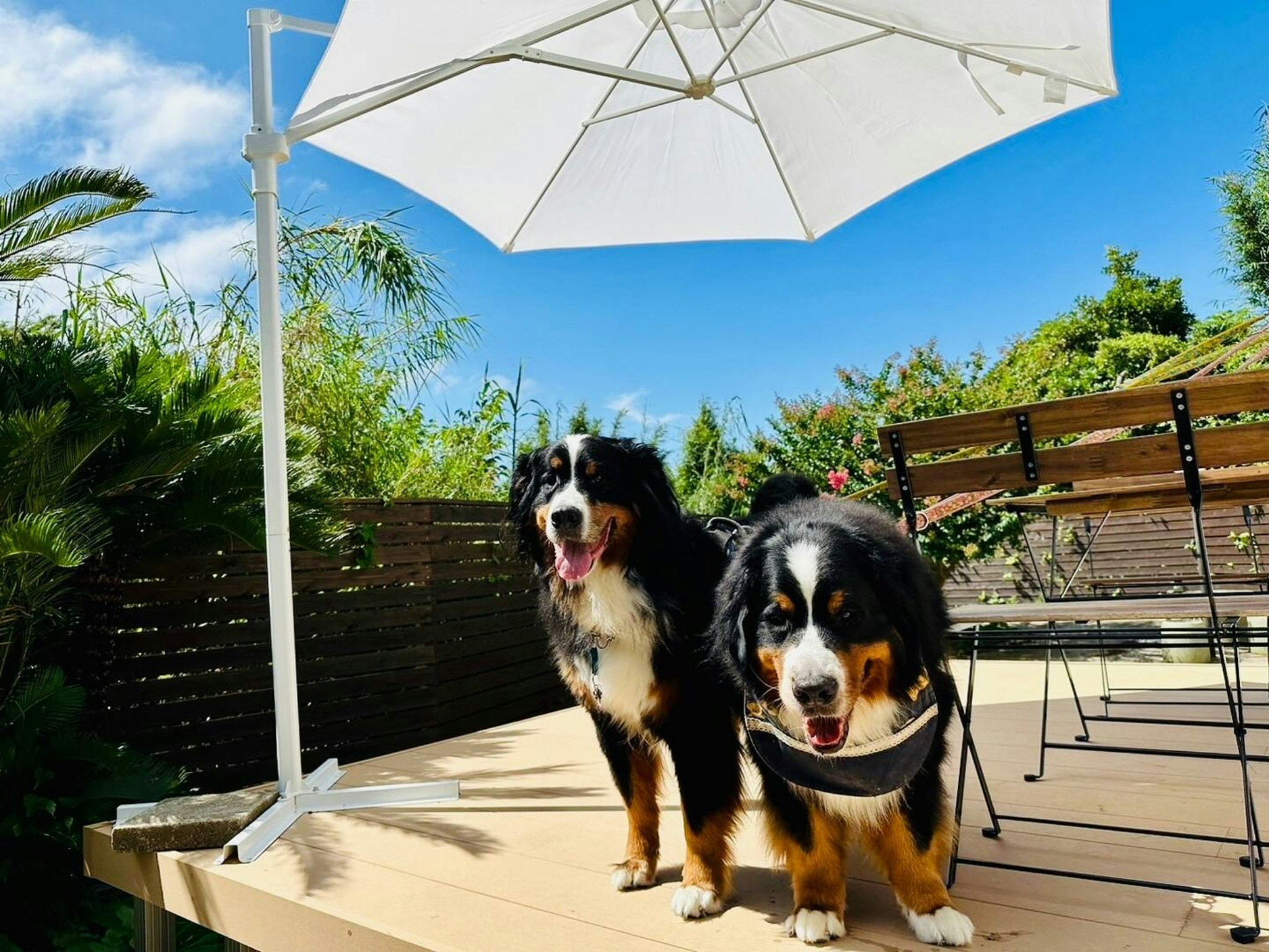 【海沿い1棟貸切】東京湾と雄大な富士山を同時に一望!絶景パワースポット/ペットOK/BBQ