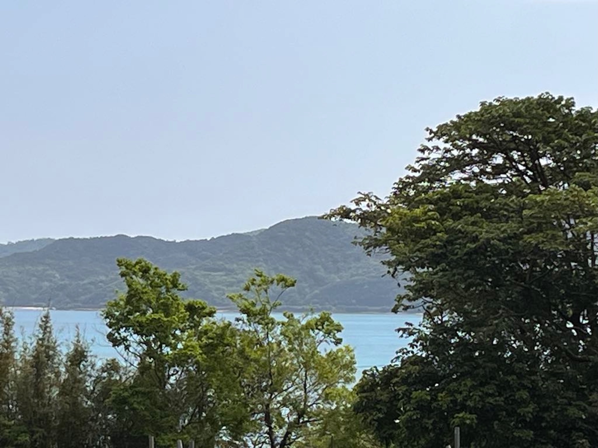 Birdland Villa, Buena Vista のnull