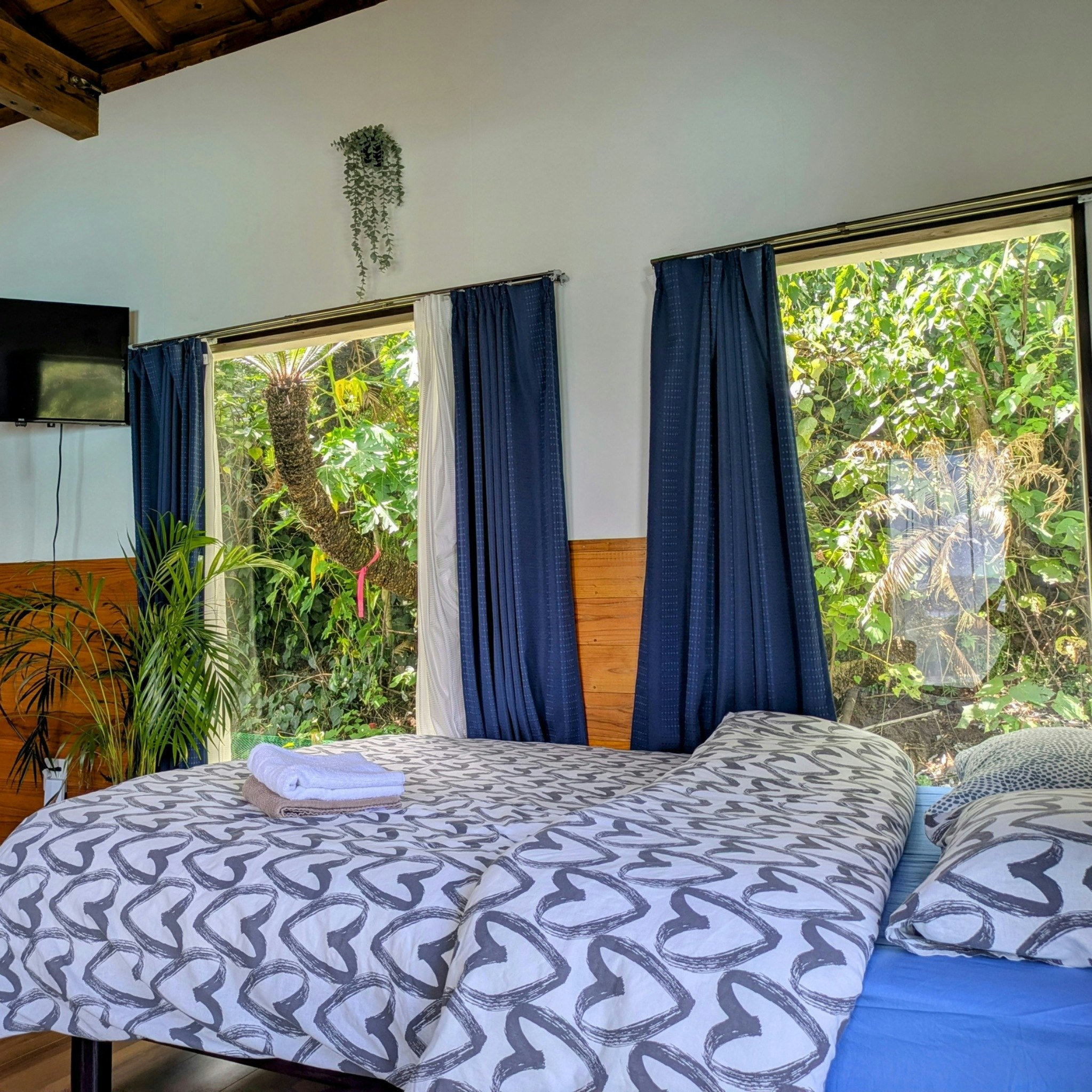 Buena Vista Villa Amami