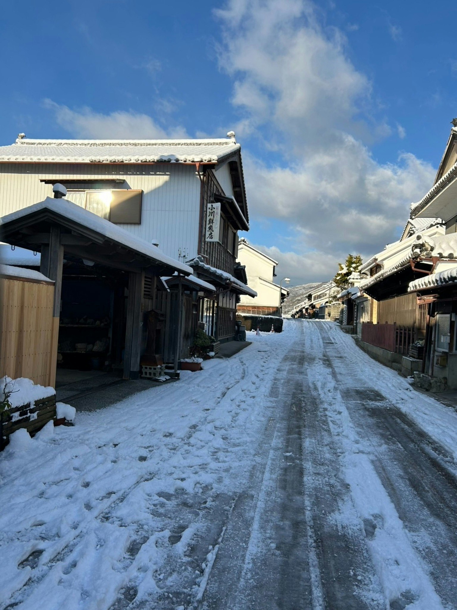 古民家の個室貸切/ホストや猫と触れ合える/伝統的な街並/無料駐車場あり/送迎あり/最大2名まで