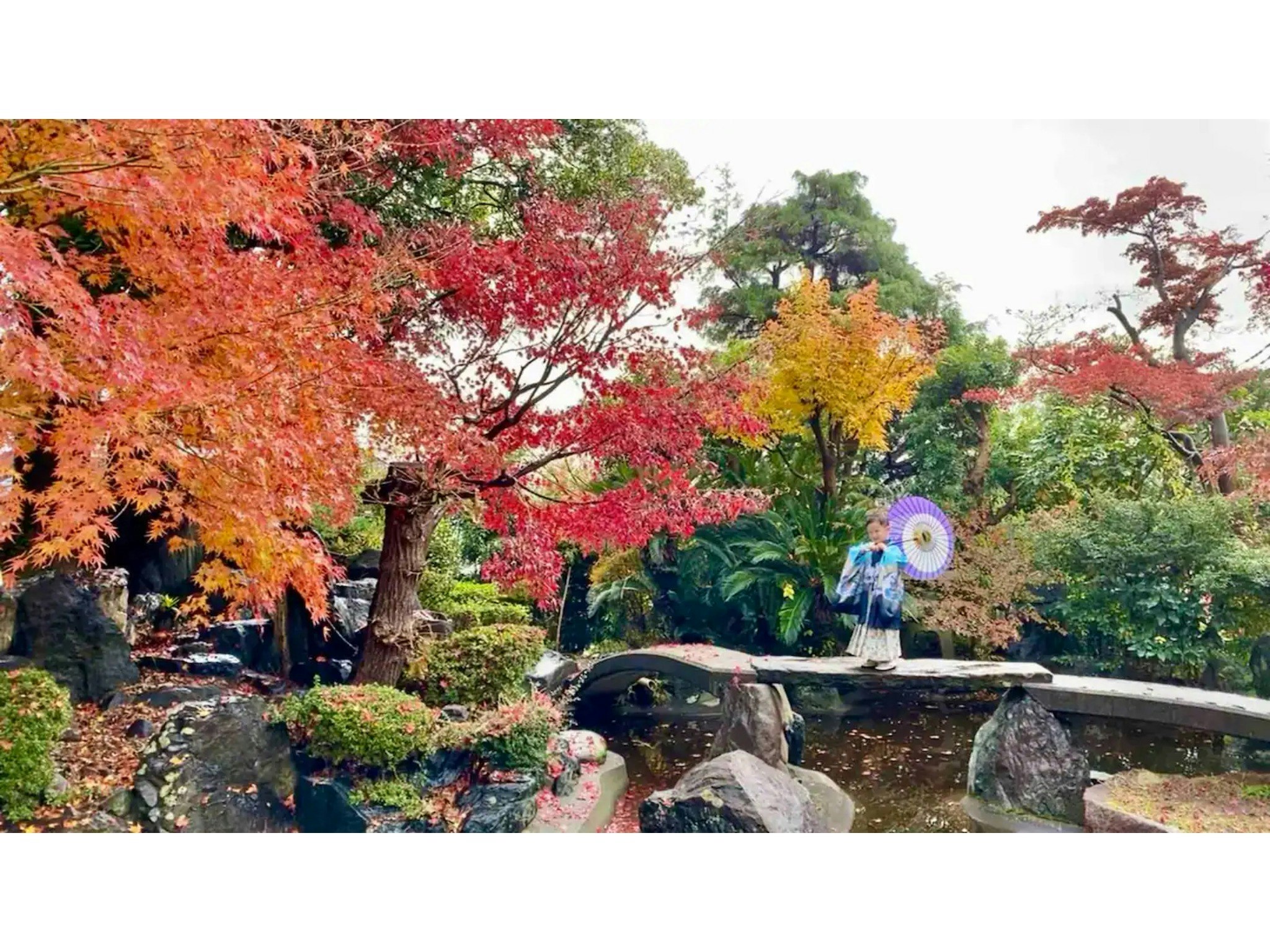 日本庭園と古民家/広大なスペース/大人数対応/撮影/コスプレ/披露宴/合宿/御茶会