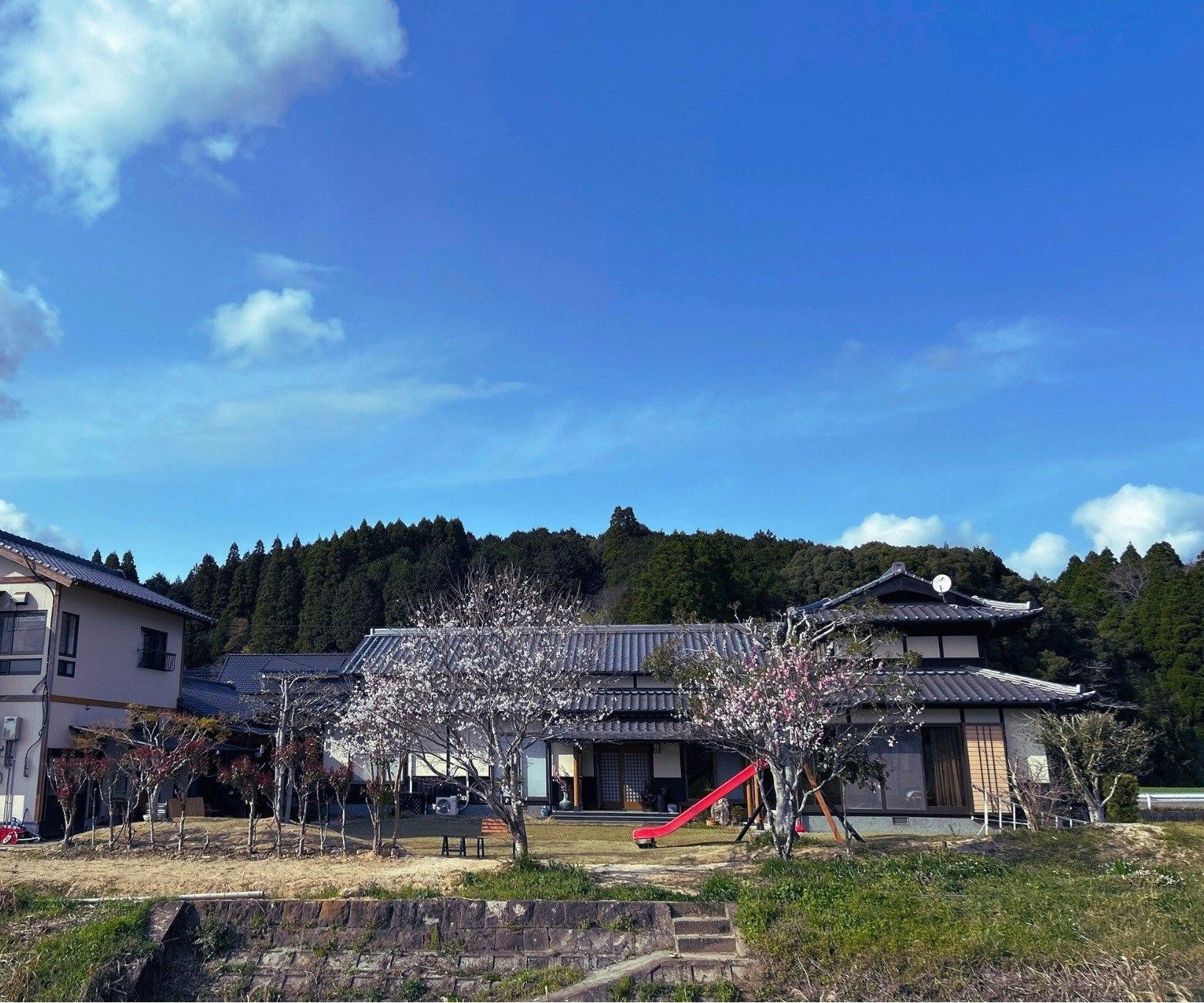 アスパラガスの収穫体験付き(3〜10月まで)1日1組様限定