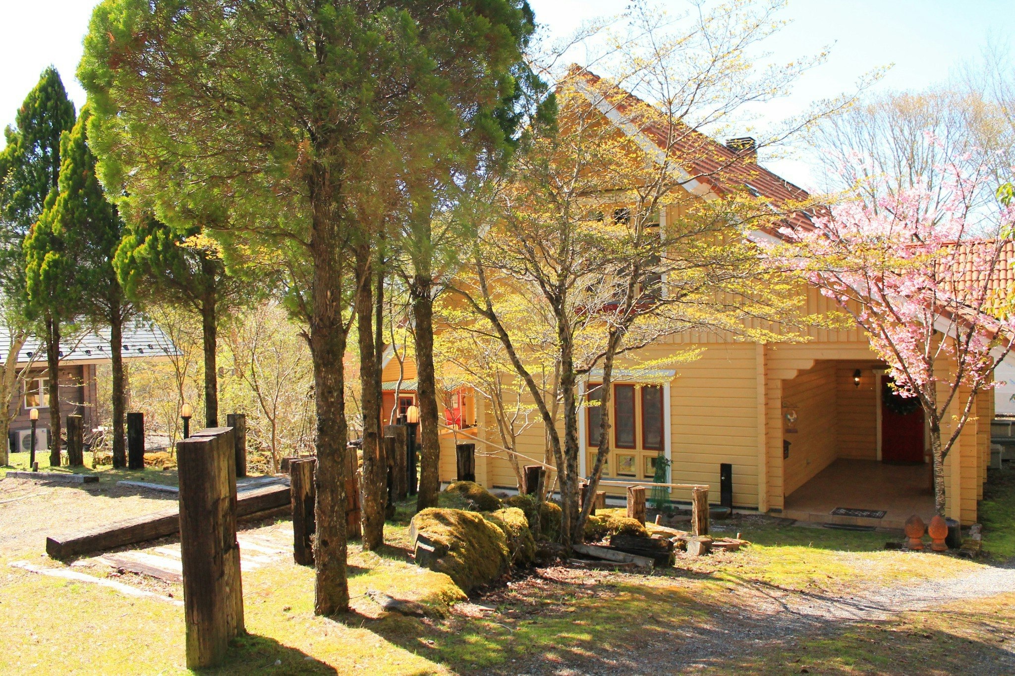 木のぬくもりと自然に癒される、富士山麓の贅沢な欧風ログハウス 201室