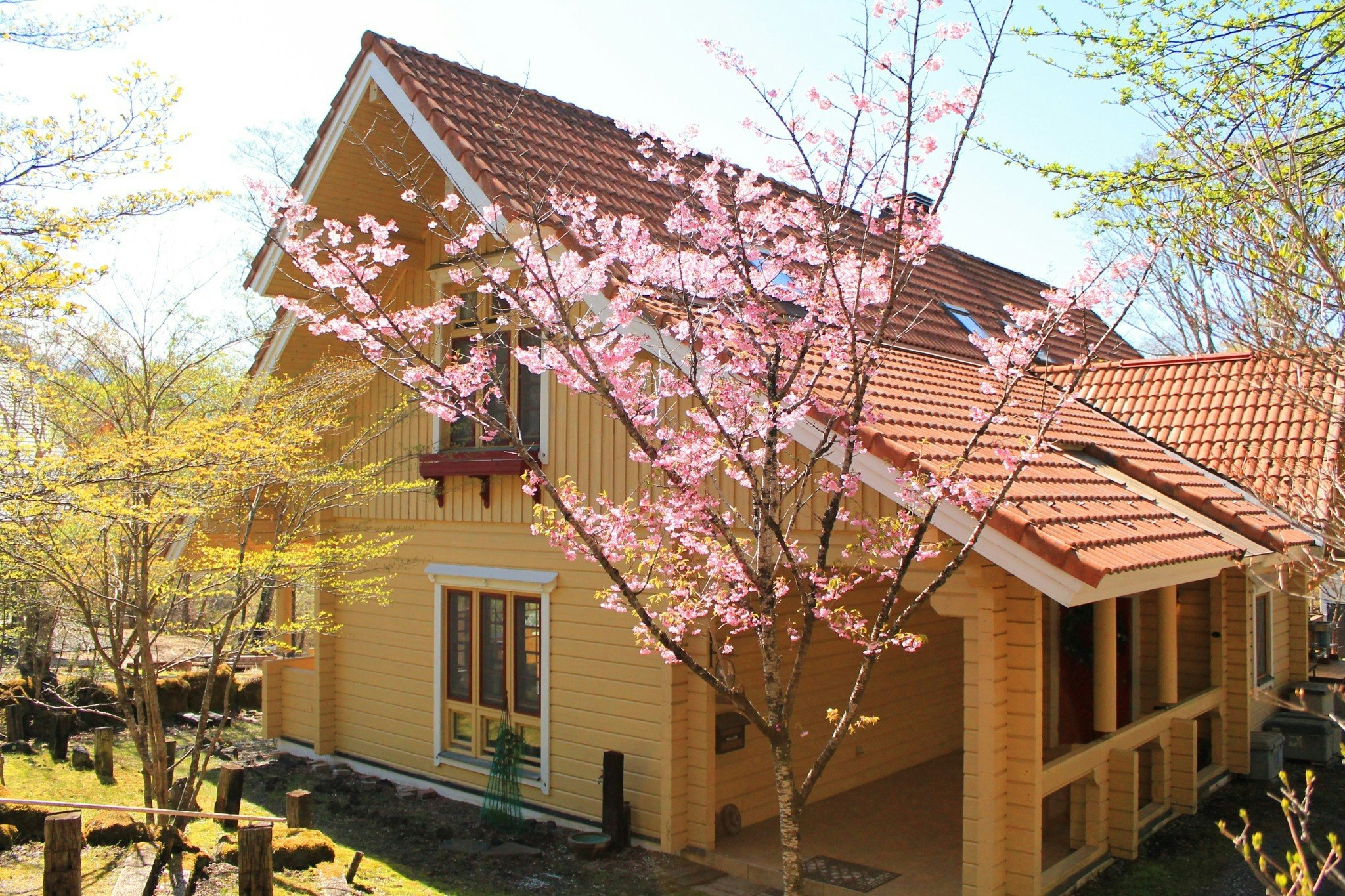 木のぬくもりと自然に癒される、富士山麓の贅沢な欧風ログハウス 201室