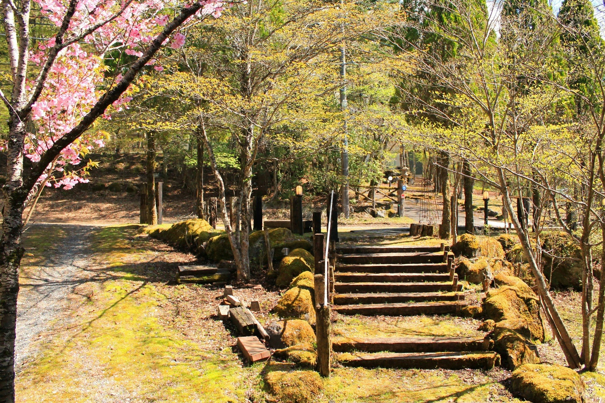 木のぬくもりと自然に癒される、富士山麓の贅沢な欧風ログハウス 202室