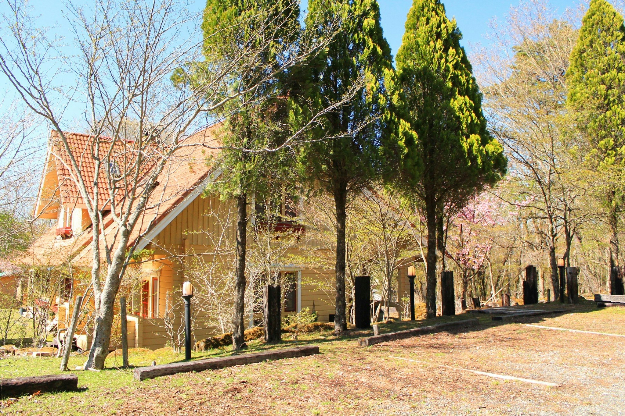 木のぬくもりと自然に癒される、富士山麓の贅沢な欧風ログハウス 203室