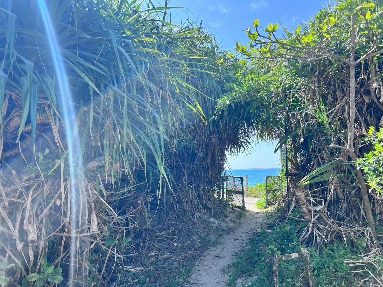 海まで徒歩30秒*リゾート地まで車で15分のラグジュアリー物件