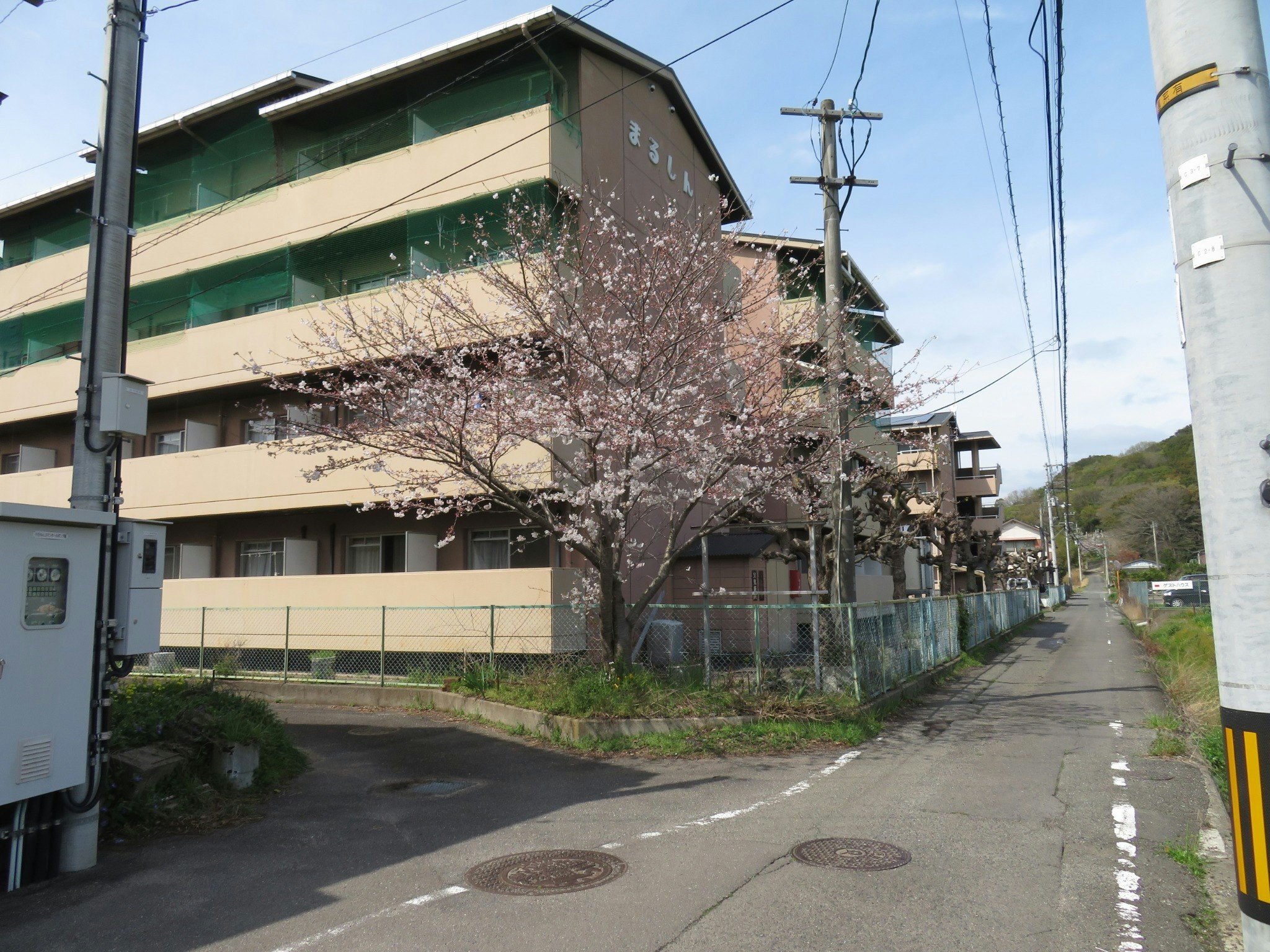 ツインルーム シングルベット2台 Vacation Rental ビジネス 観光に 南棟201 