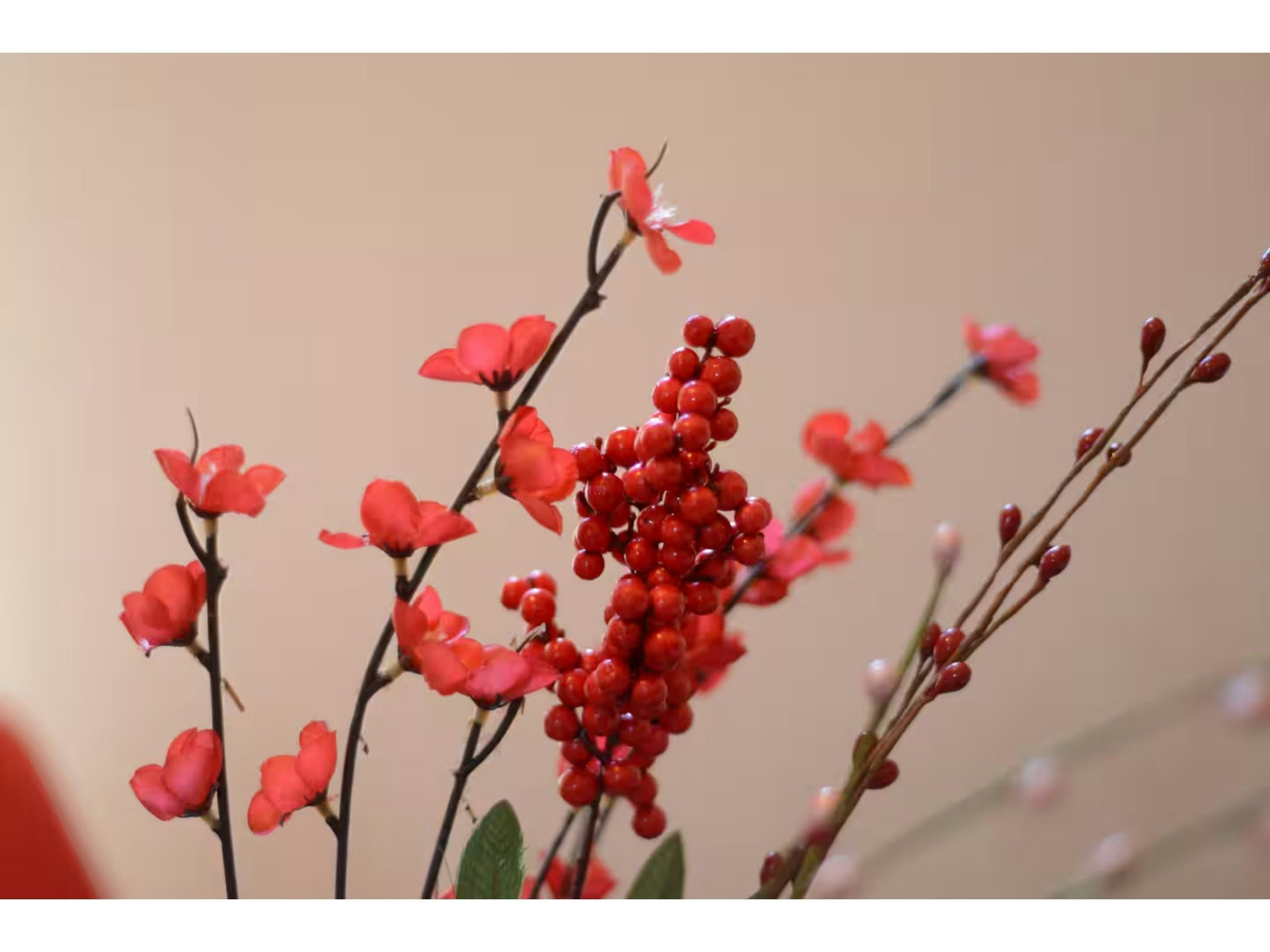 3月オープン!浅草まで10分!一軒家貸し切り日本家屋で旅を満喫!