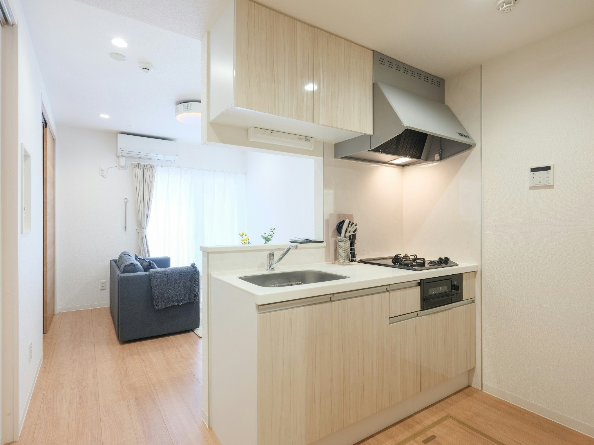 #103/プロジェクターで映画鑑賞/アウトレット木更津徒歩9分/ディズニーまでアクセス良好