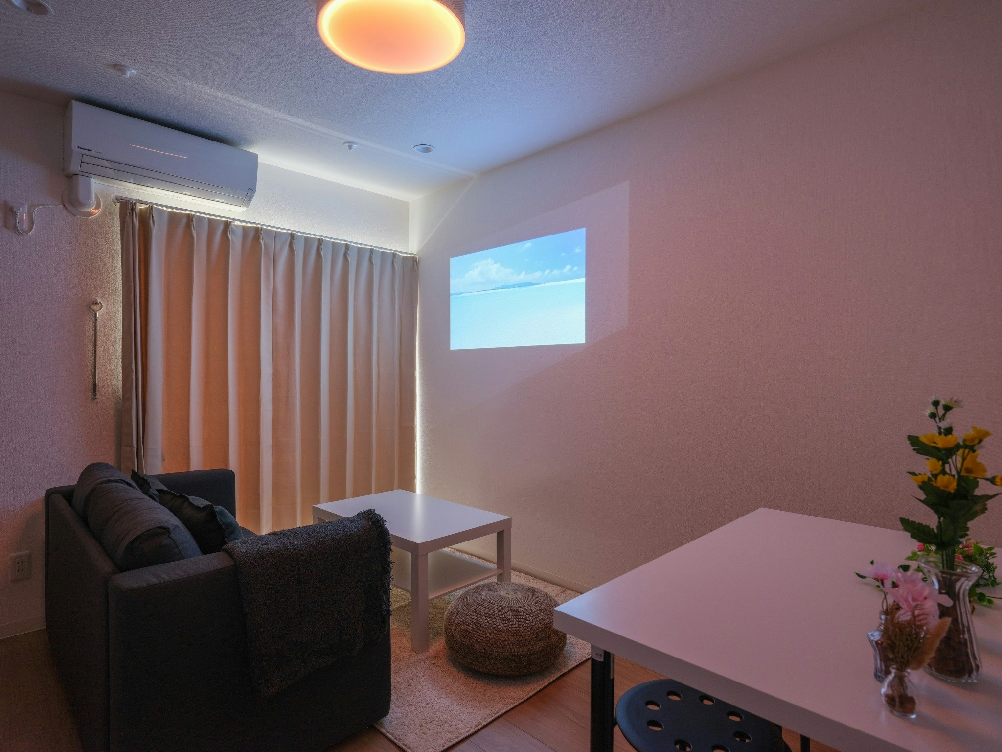 #103/プロジェクターで映画鑑賞/アウトレット木更津徒歩9分/ディズニーまでアクセス良好