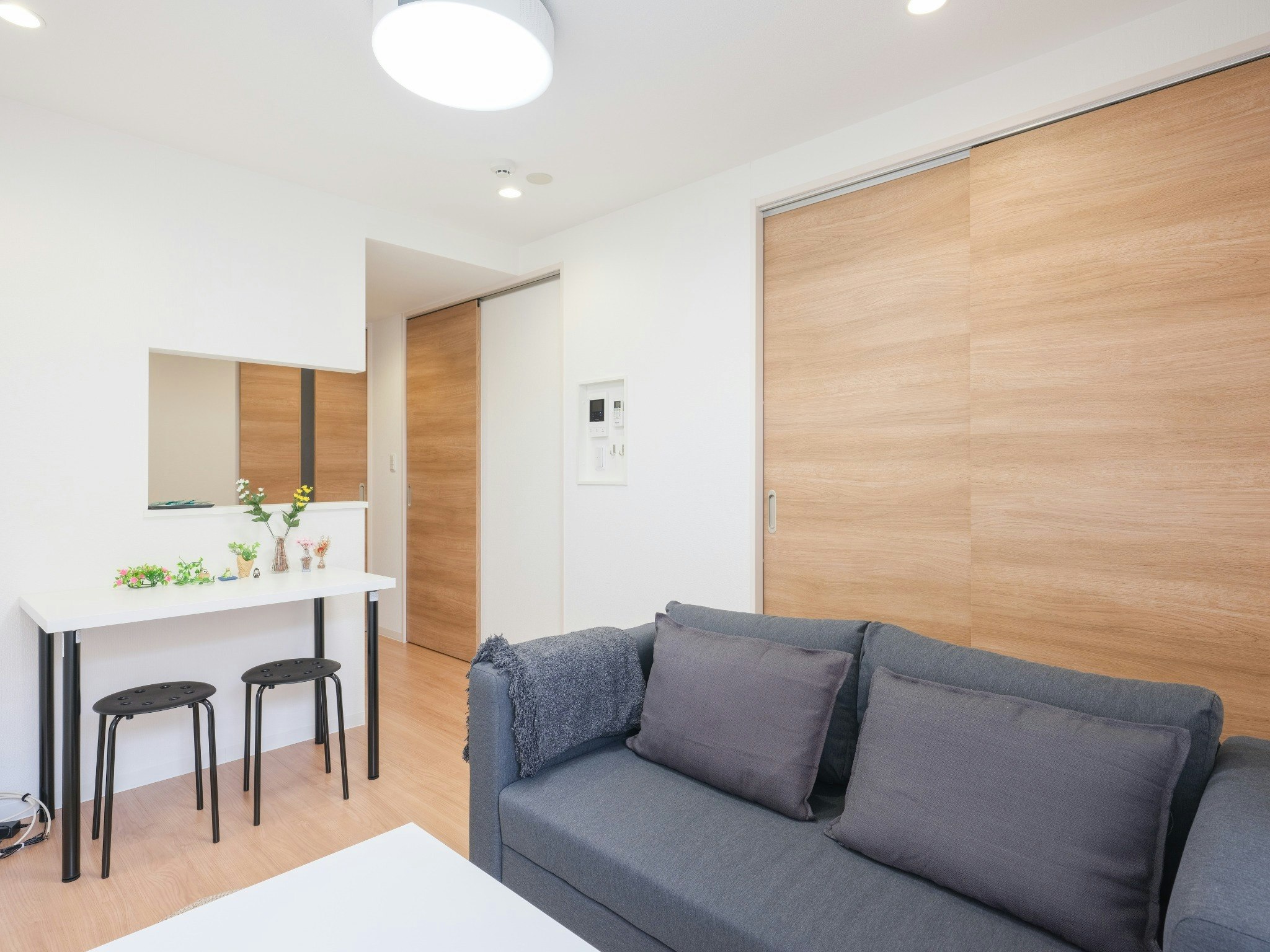 #103/ディズニーまで約1時間/アウトレット&東京方面好アクセス/2名最適プロジェクター付