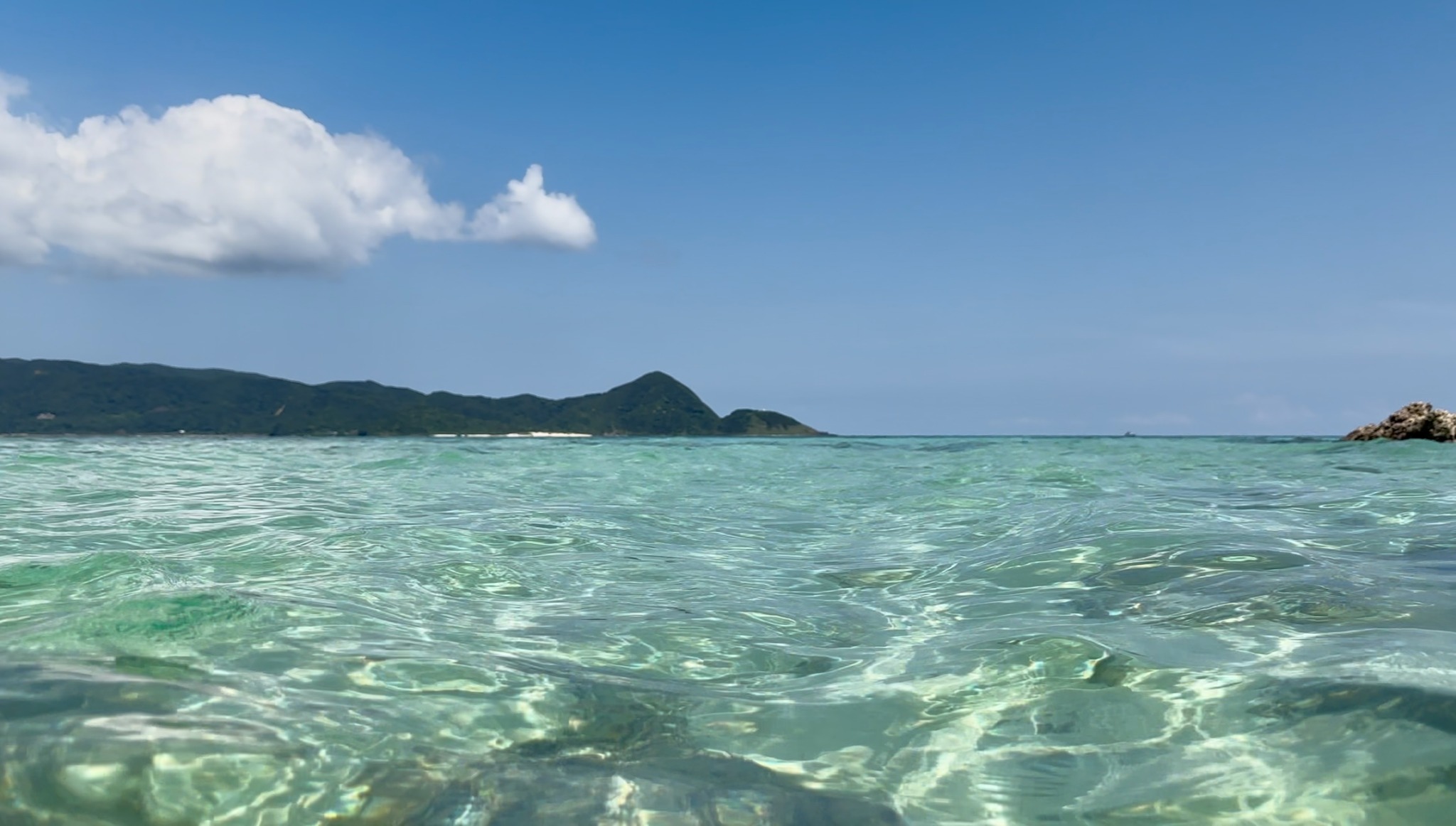 奄美ブルーの打田原ビーチへ徒歩1分|一棟貸し古民家ヴィラ|5名までOK のnull