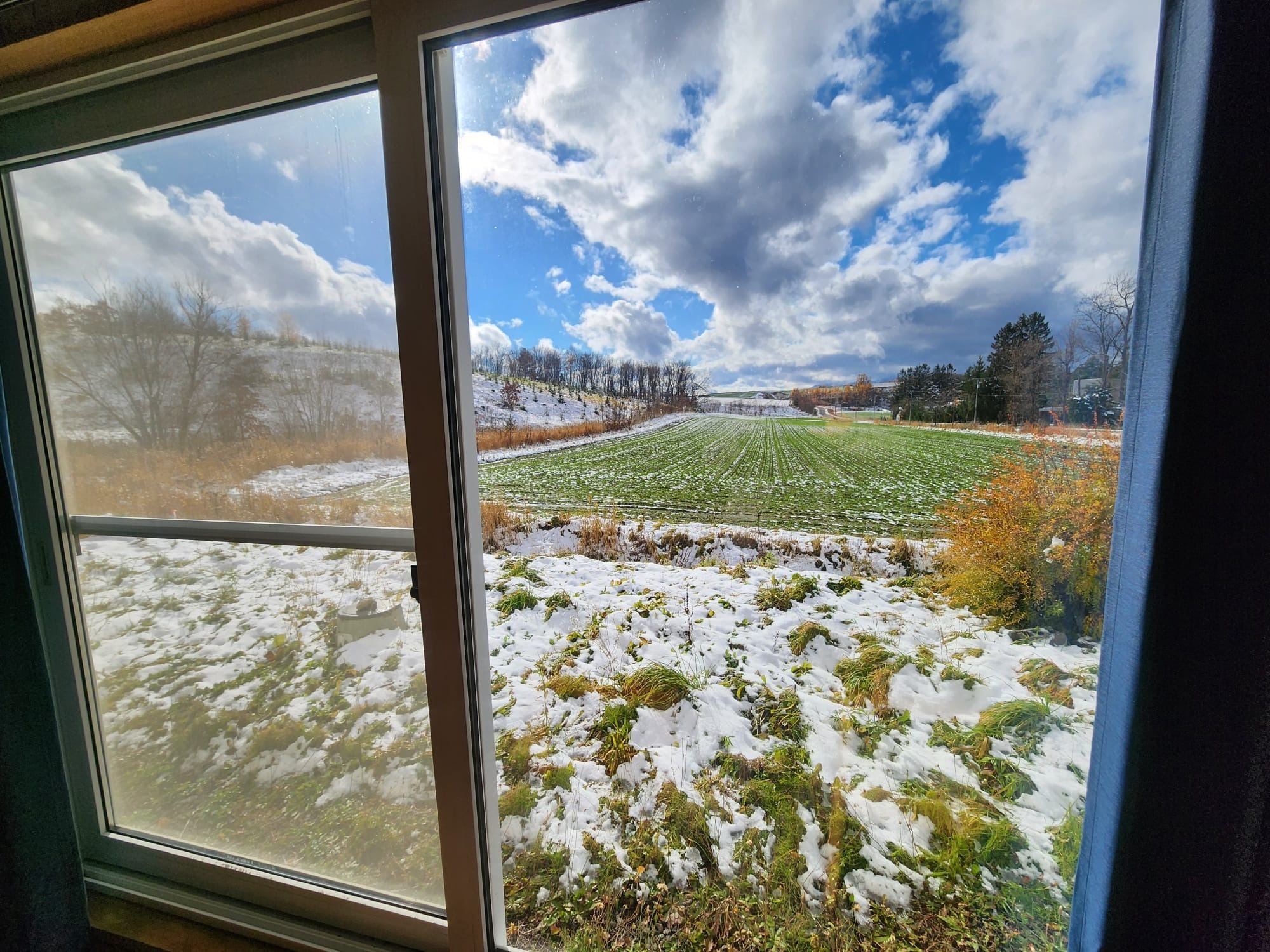 Farm Stay くまのコテージ のnull