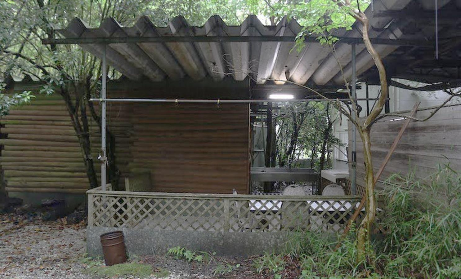 バンガロー(定員10名)