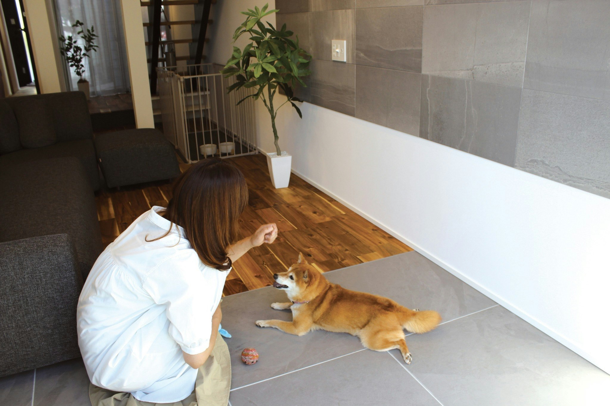 *ペット同伴宿泊専用プラン*【犬と泊まれる一棟貸し】専用ドッグラン付