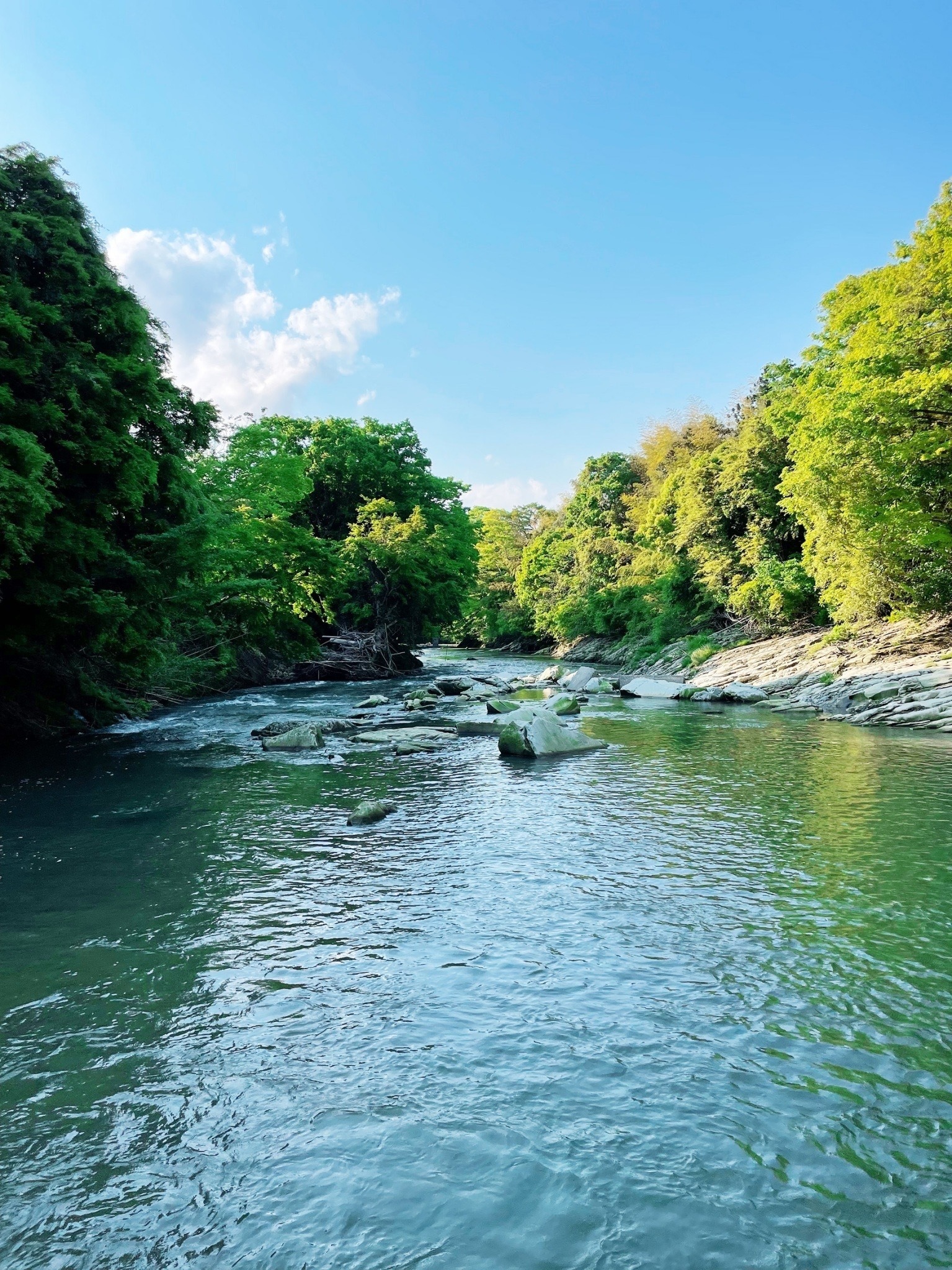 and  RIVER勝浦 のnull