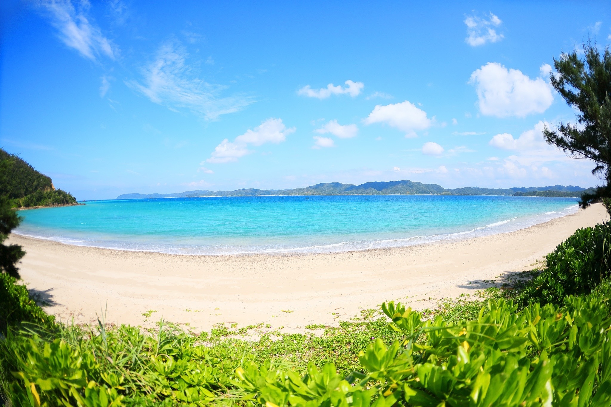 倉崎ビーチハウス のnull