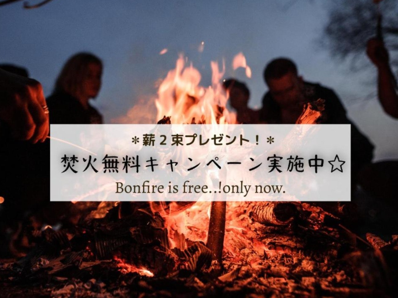 富士山麓森の中のハイグレードヴィラA