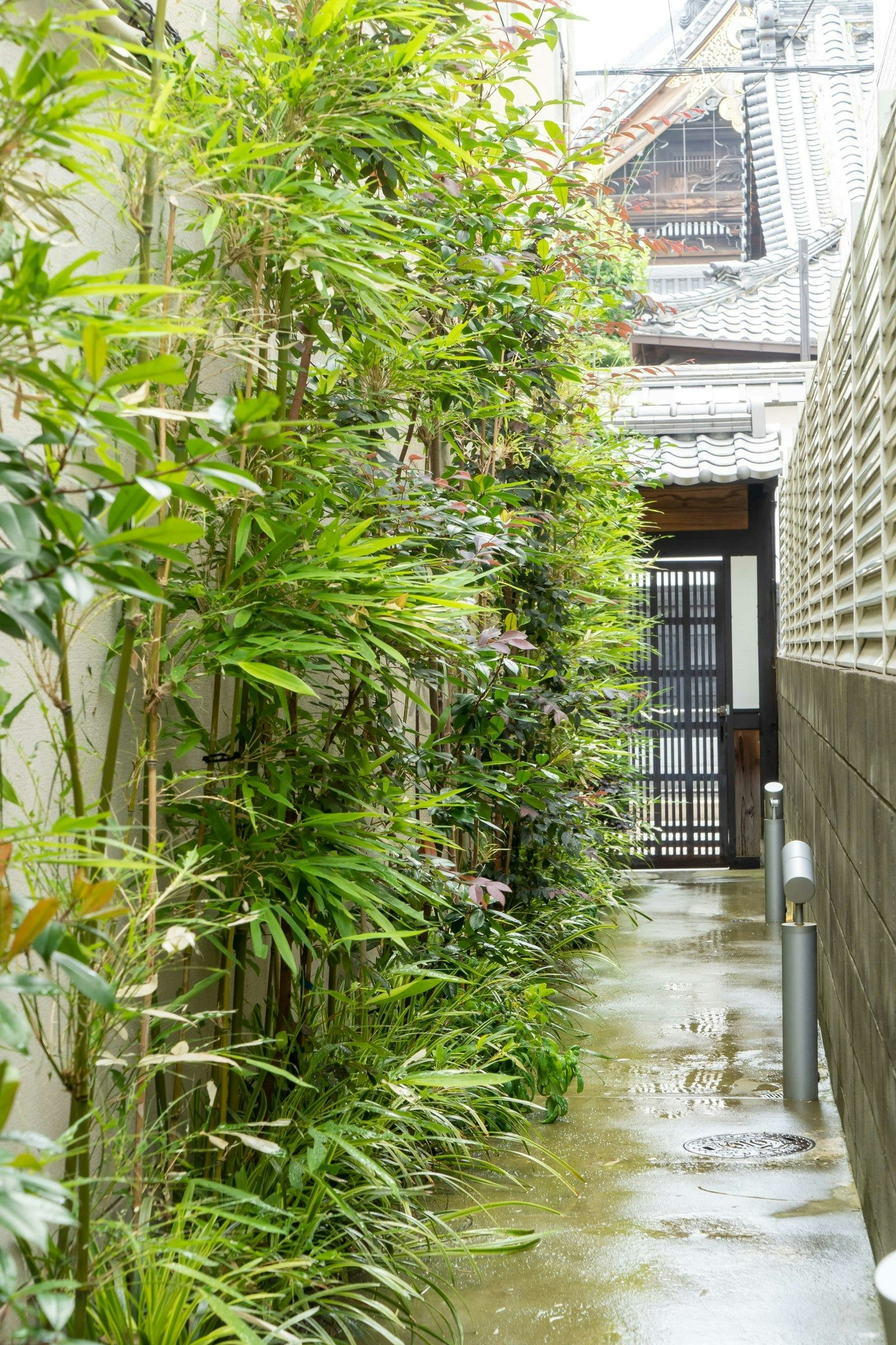 京都の一等地に佇む町家宿|四条駅徒歩5分・静寂と美が宿る贅沢なひととき