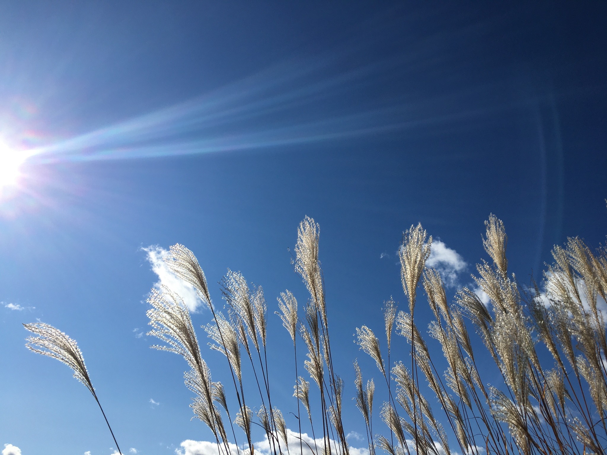 8co(ヤツコ) のnull