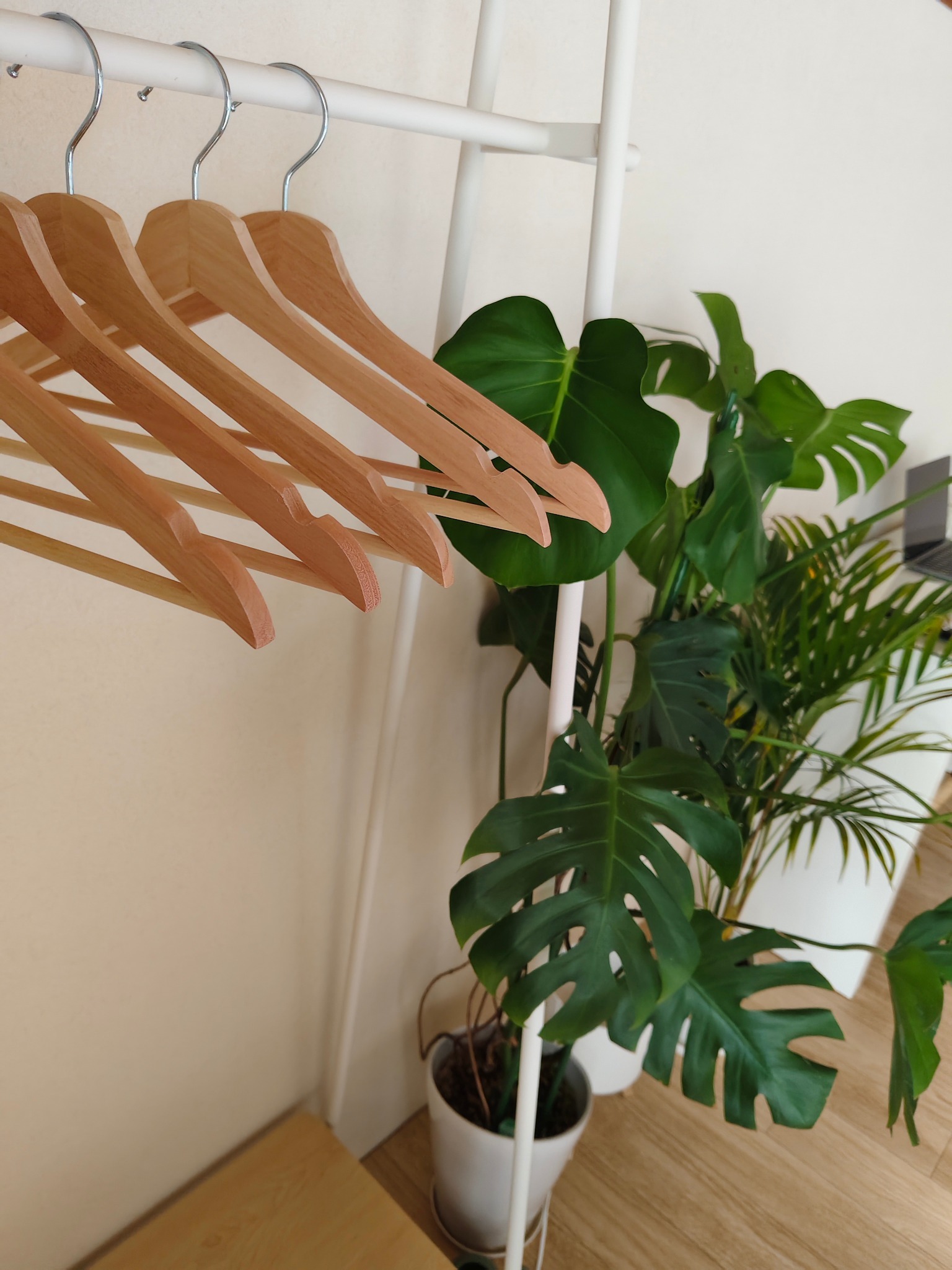 徳島駅徒歩10分|城跡公園前の静かな貸切 のnull