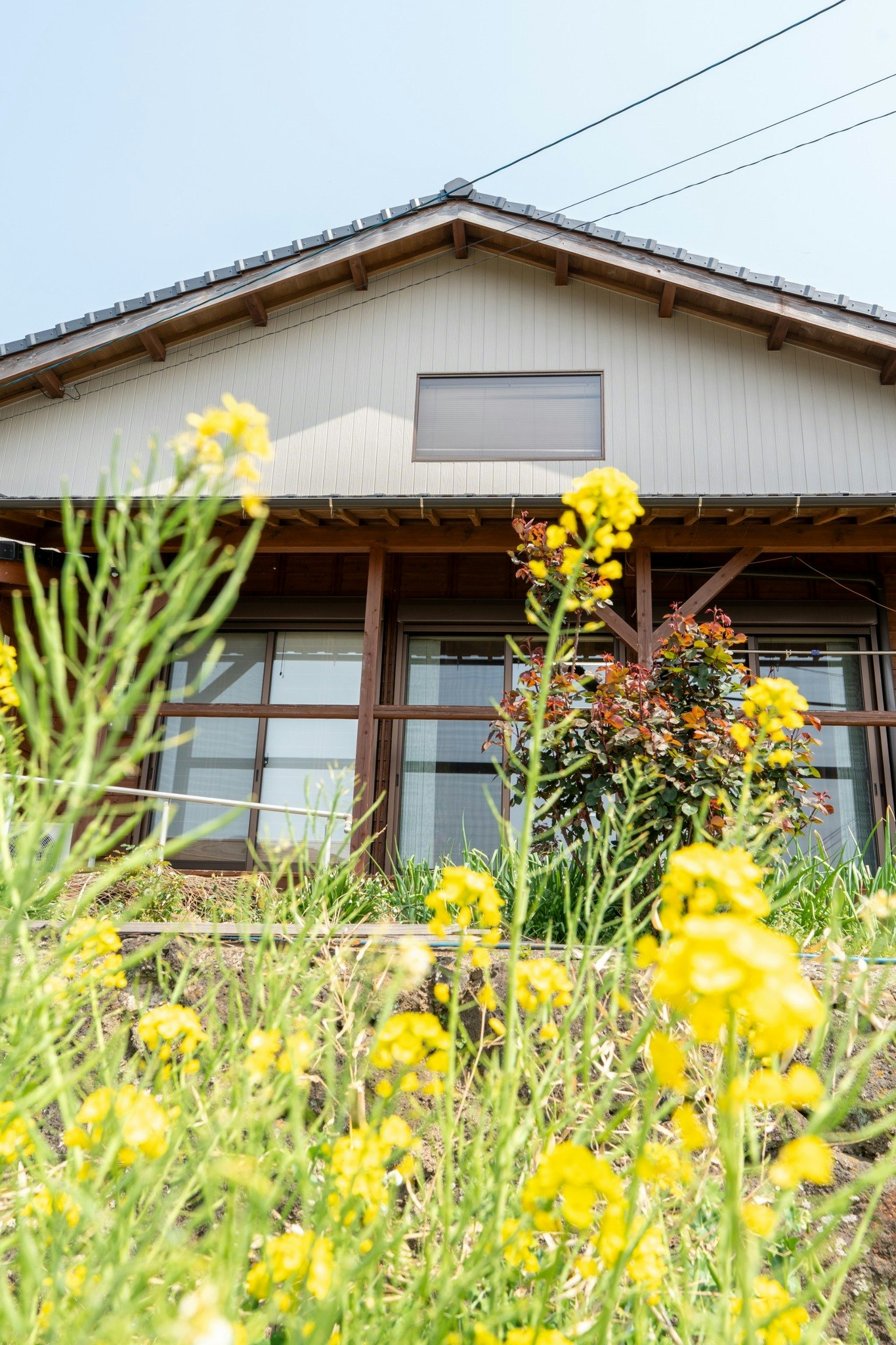 【田舎ホームステイ】川末さん宅(こっぱ)