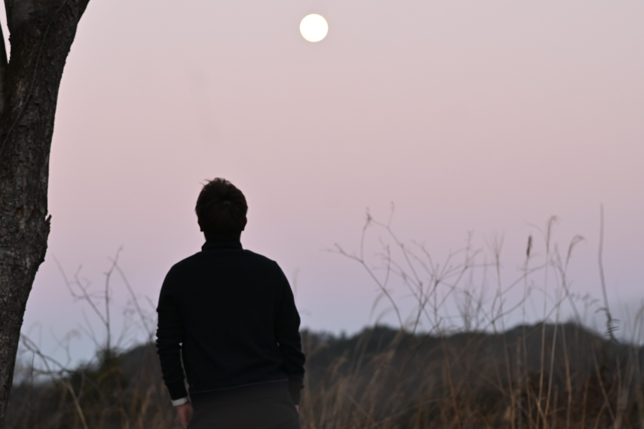 ラスタ キャンプ 白州 のnull