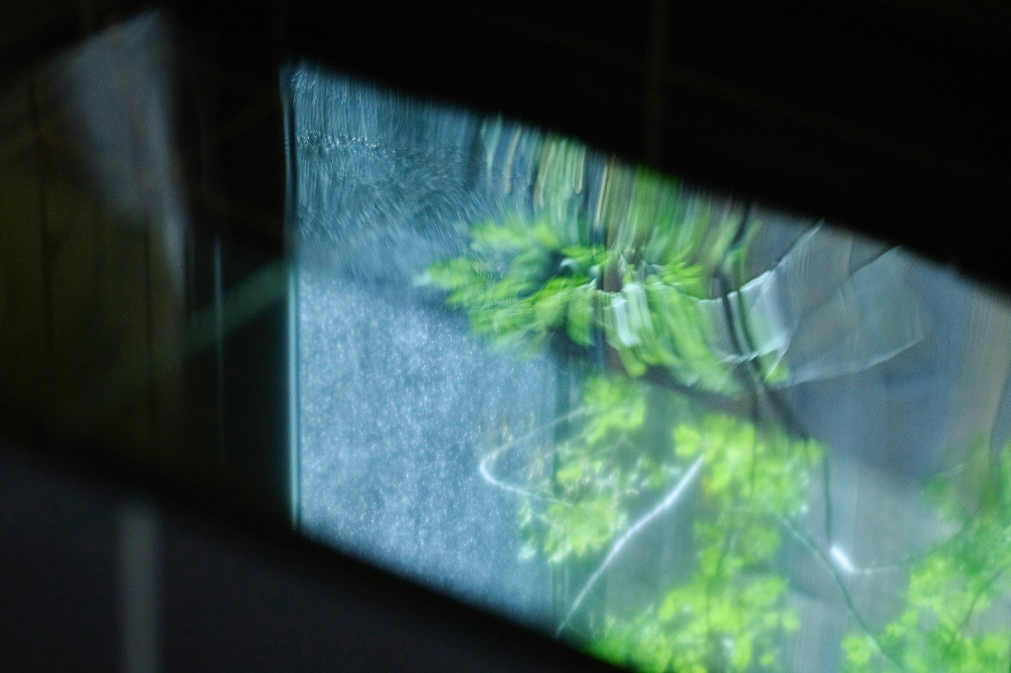 Alchemy|時を紡ぐ、築80年の町家リトリート