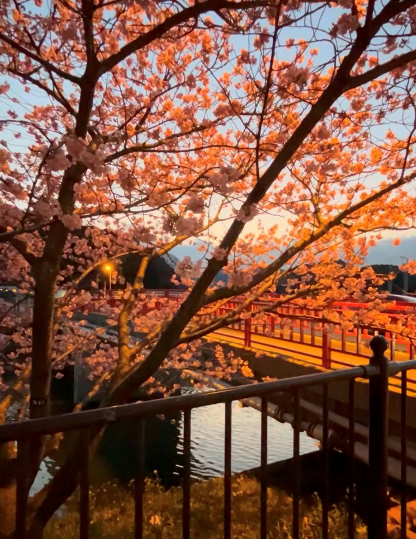 伊豆白浜ビーチ・コンビニ歩1分/オーシャンビュー/10名/BBQ/駐車場5台/ペット可/温水シャワ