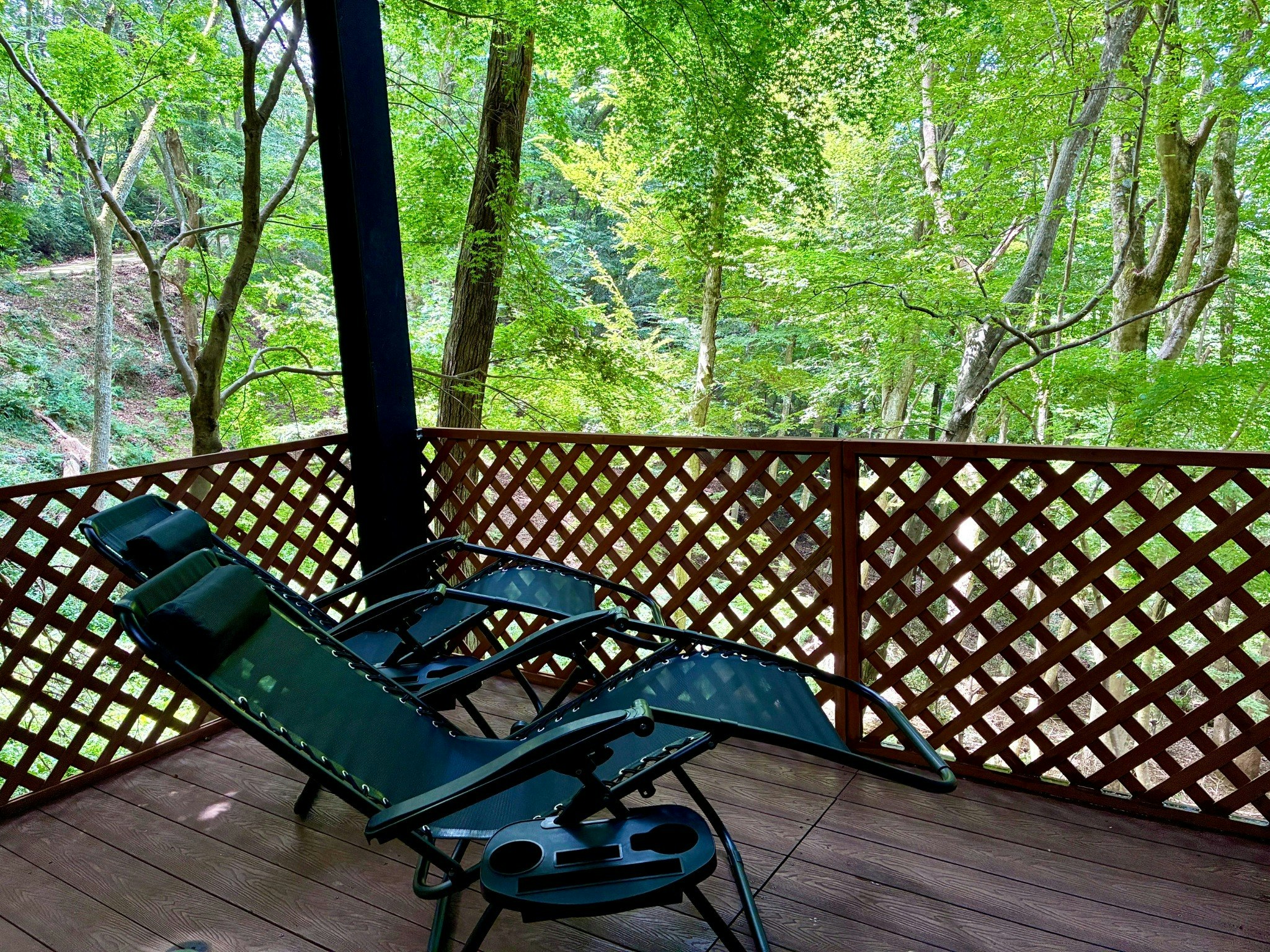 【屋根付きBBQデッキ完備】雨でも安心♪森の中で手ぶらBBQプラン