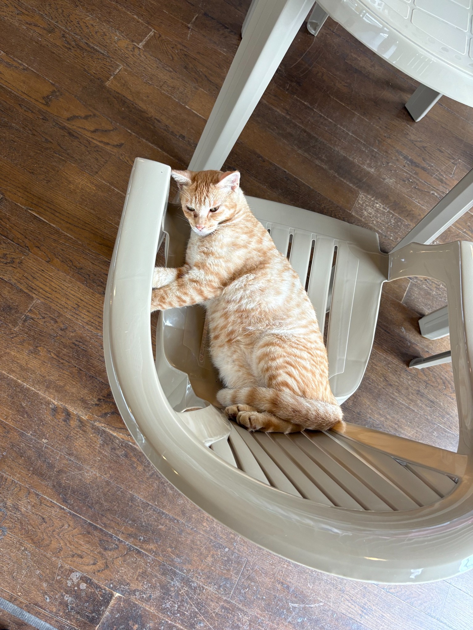 民泊 御座岬 のnull