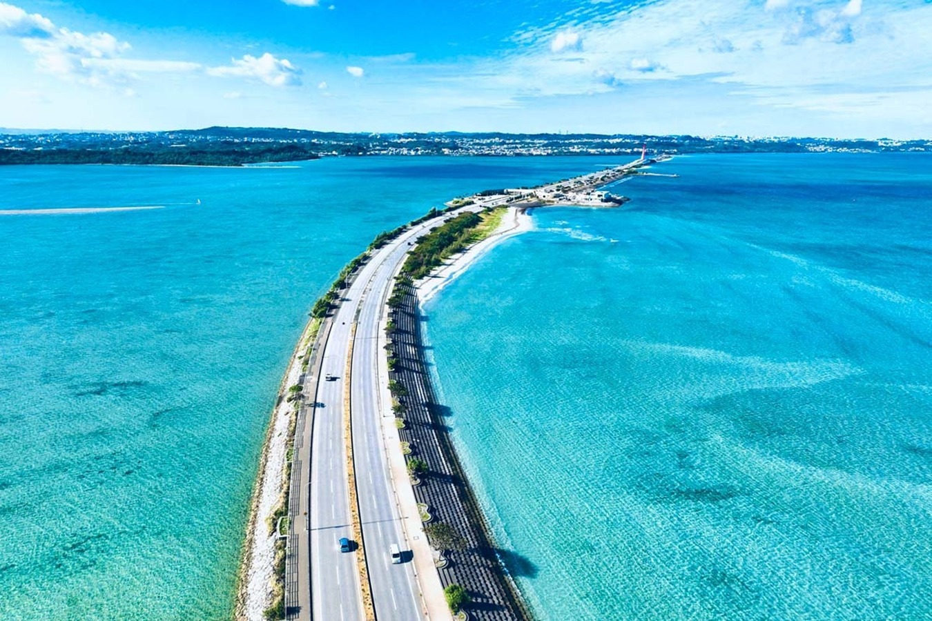 森の宿Jungle Stay Okinawa のnull