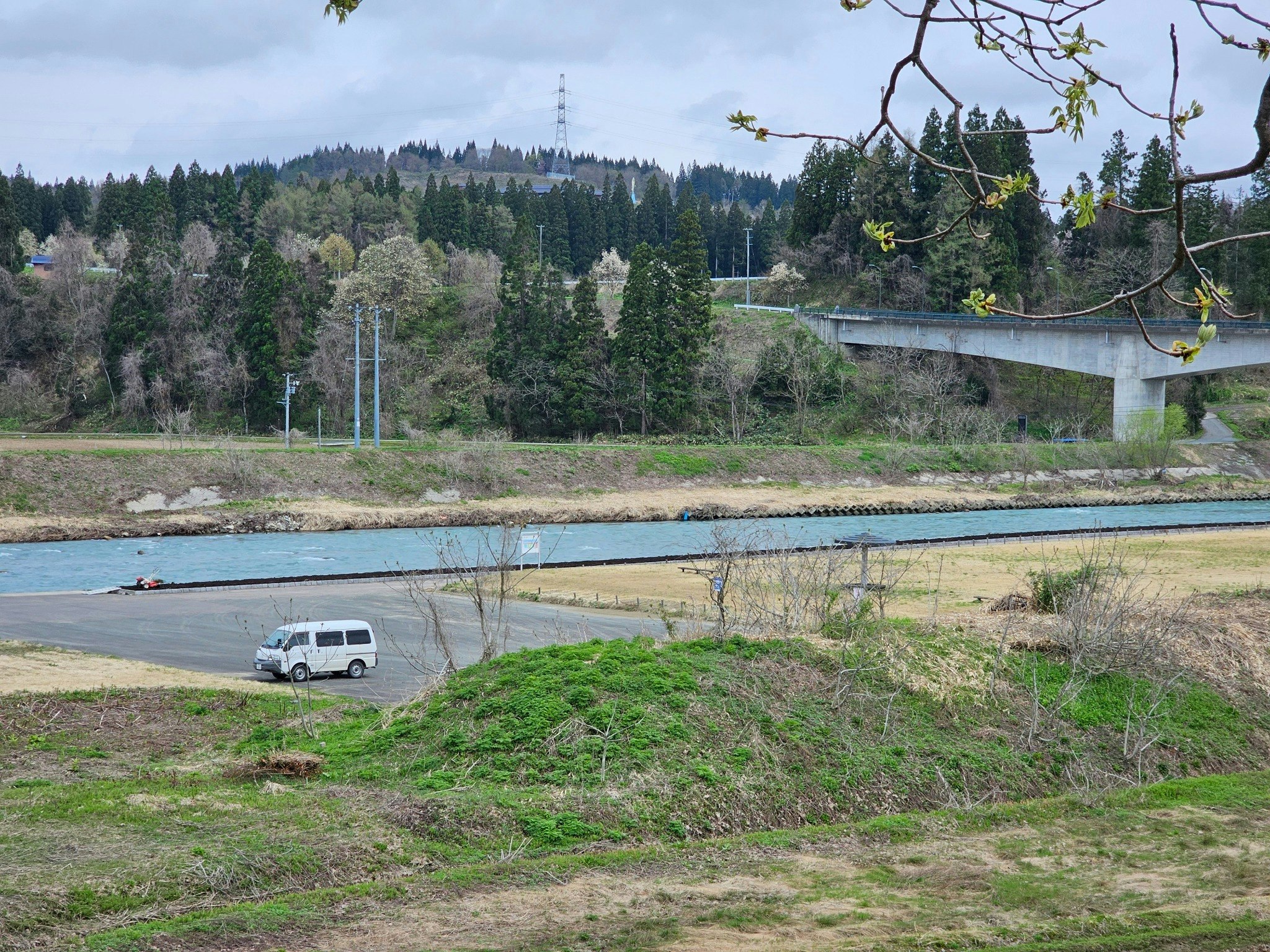 洋室 (ファミリールーム)