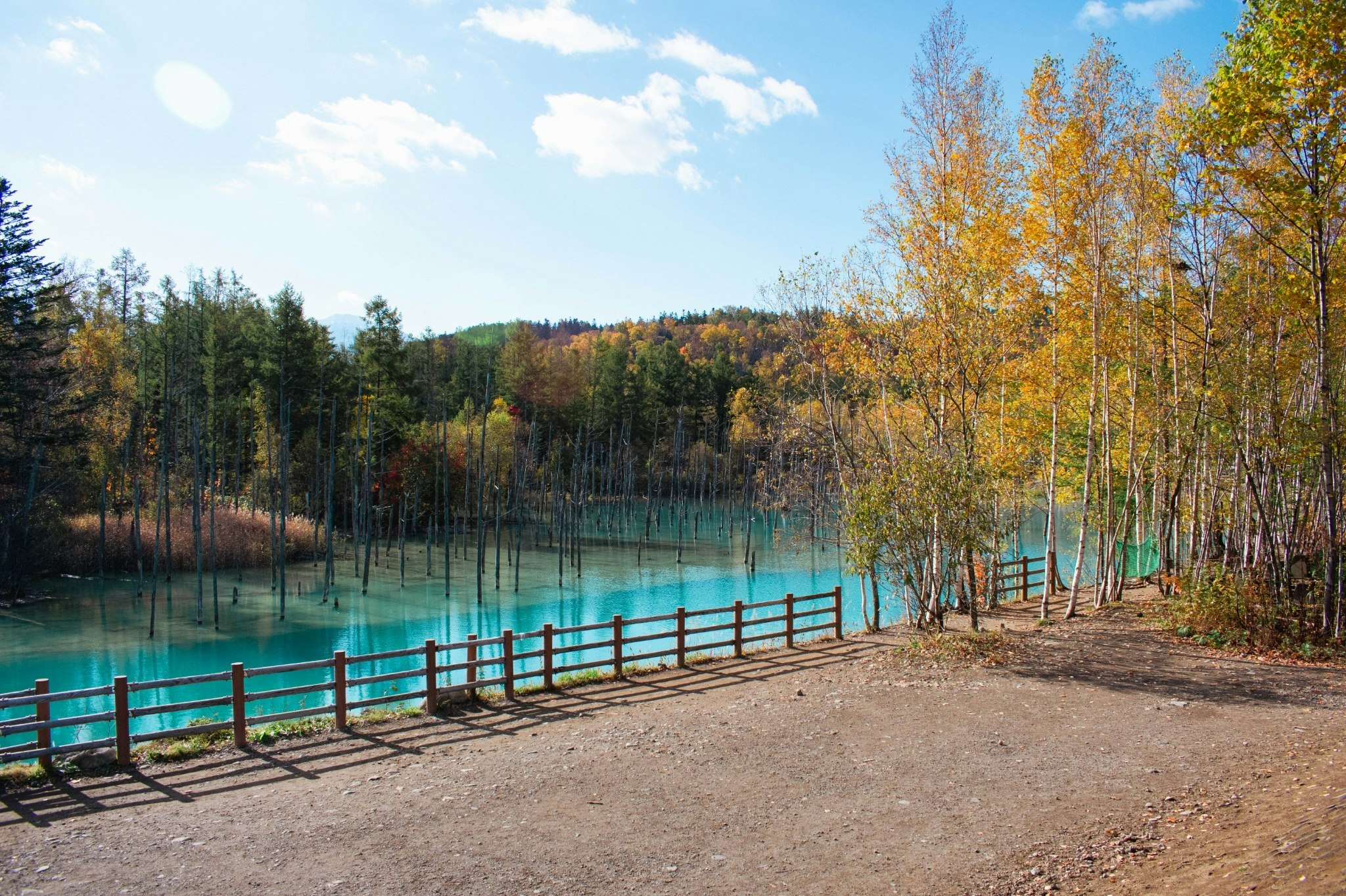 日本の伝統感じる空間|美瑛の自然に包まれた和の宿