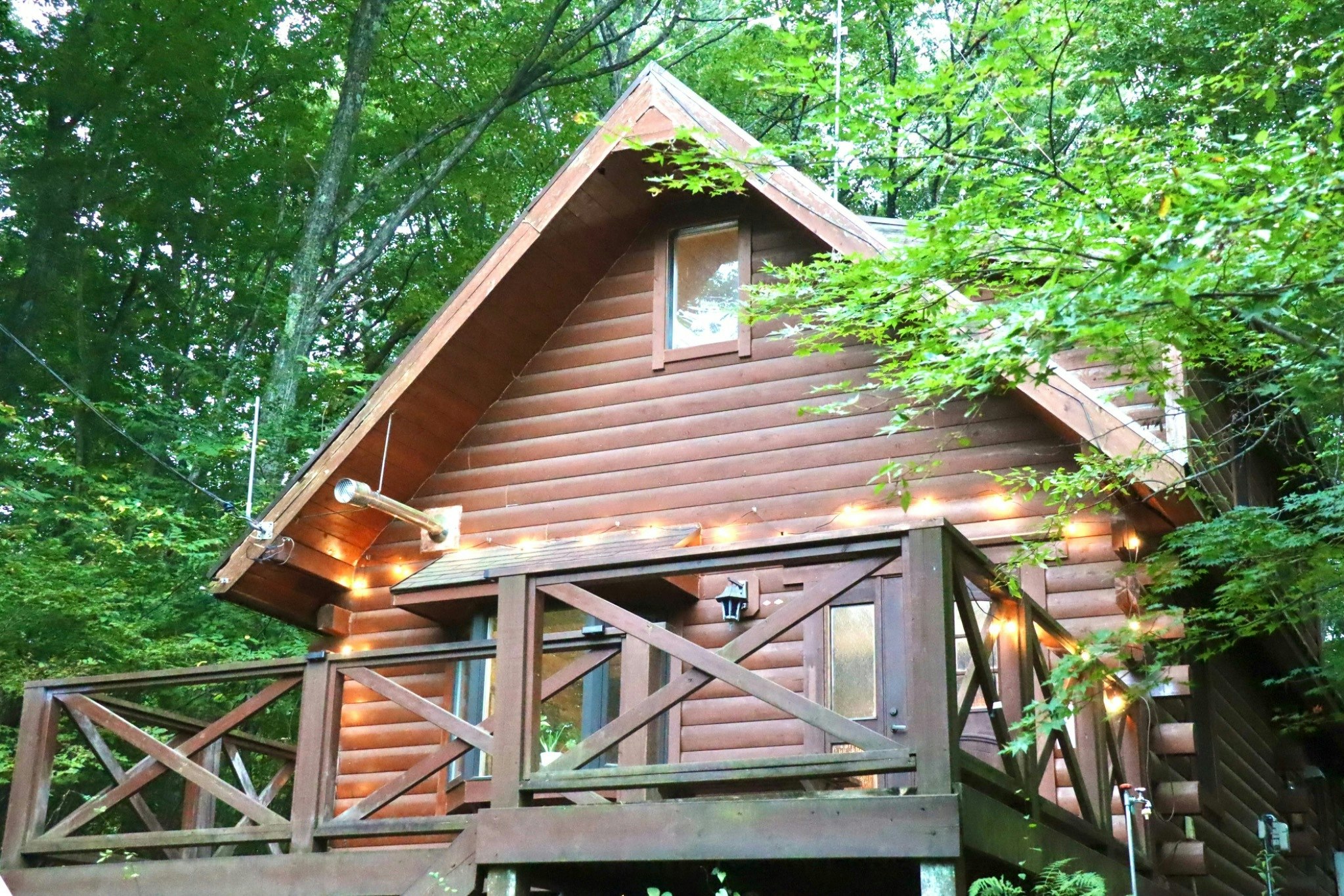 【連泊でハーゲンダッツサービス!】一棟貸しスウェーデンハウス。BBQ可。軽井沢・草津へアクセス抜群。