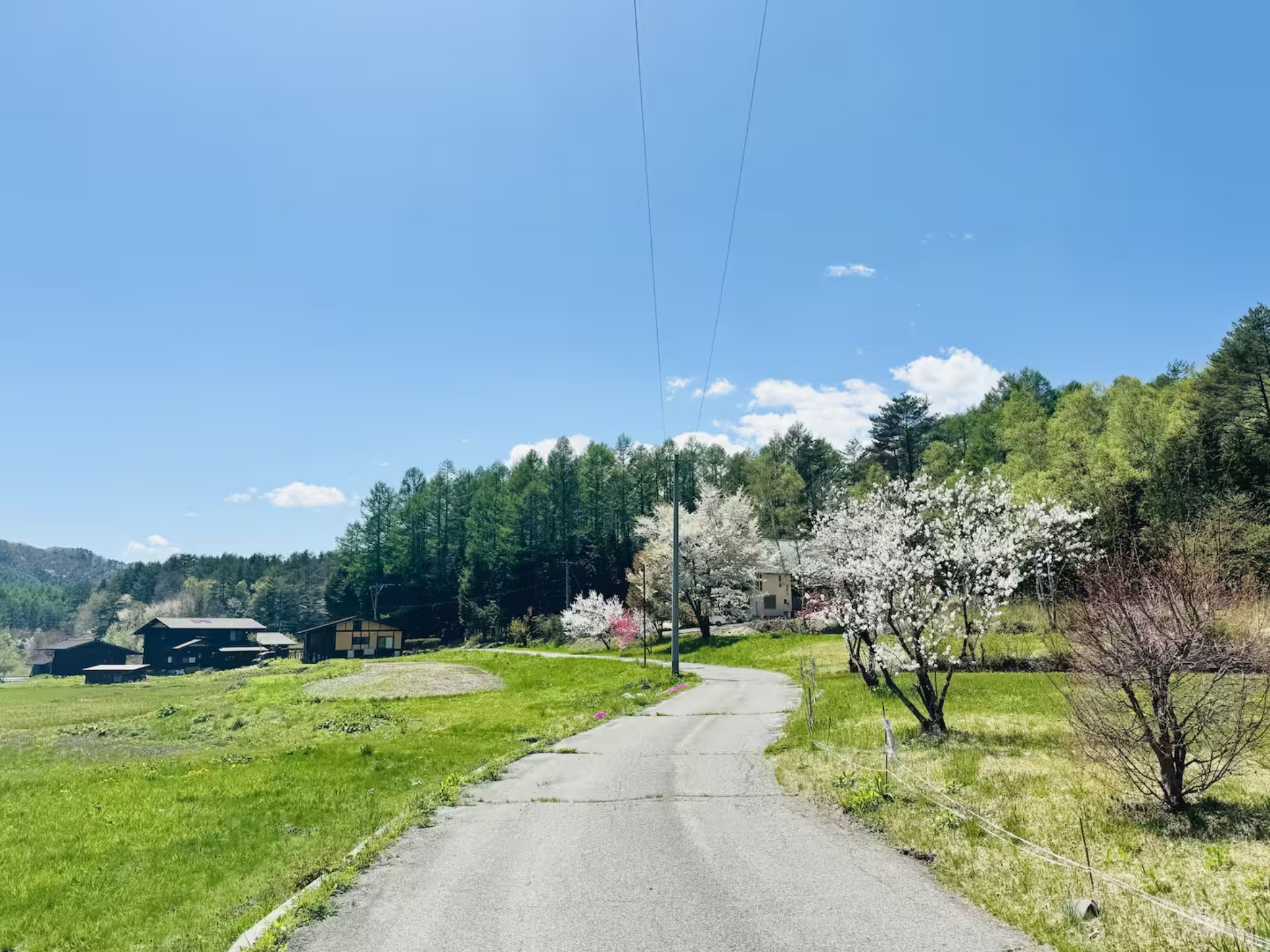 Coco開田高原 のnull