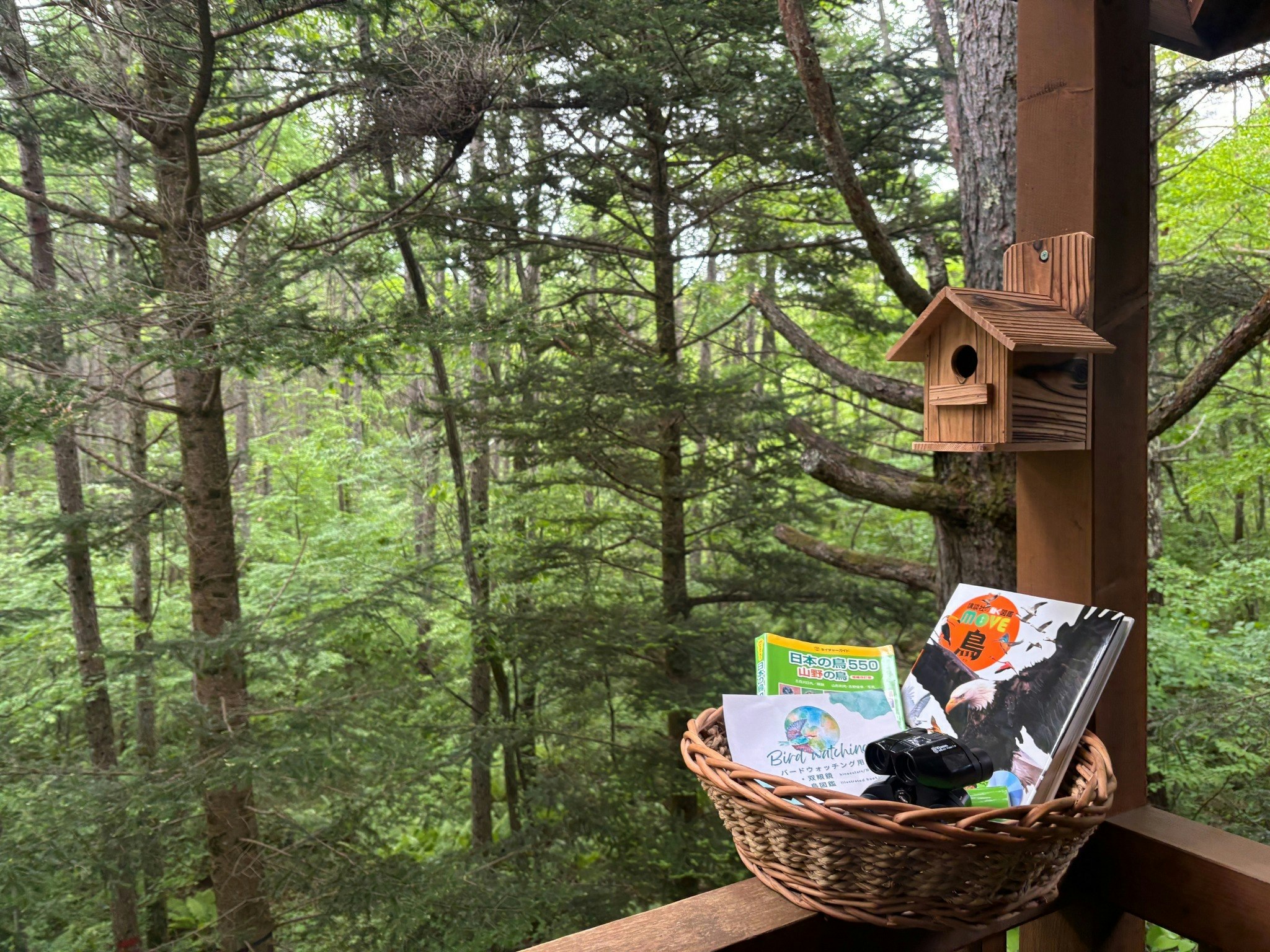 広々ウッドデッキ&テラスで野鳥とリスの観察・キッズスペースでLEGOの壁を作ろう!