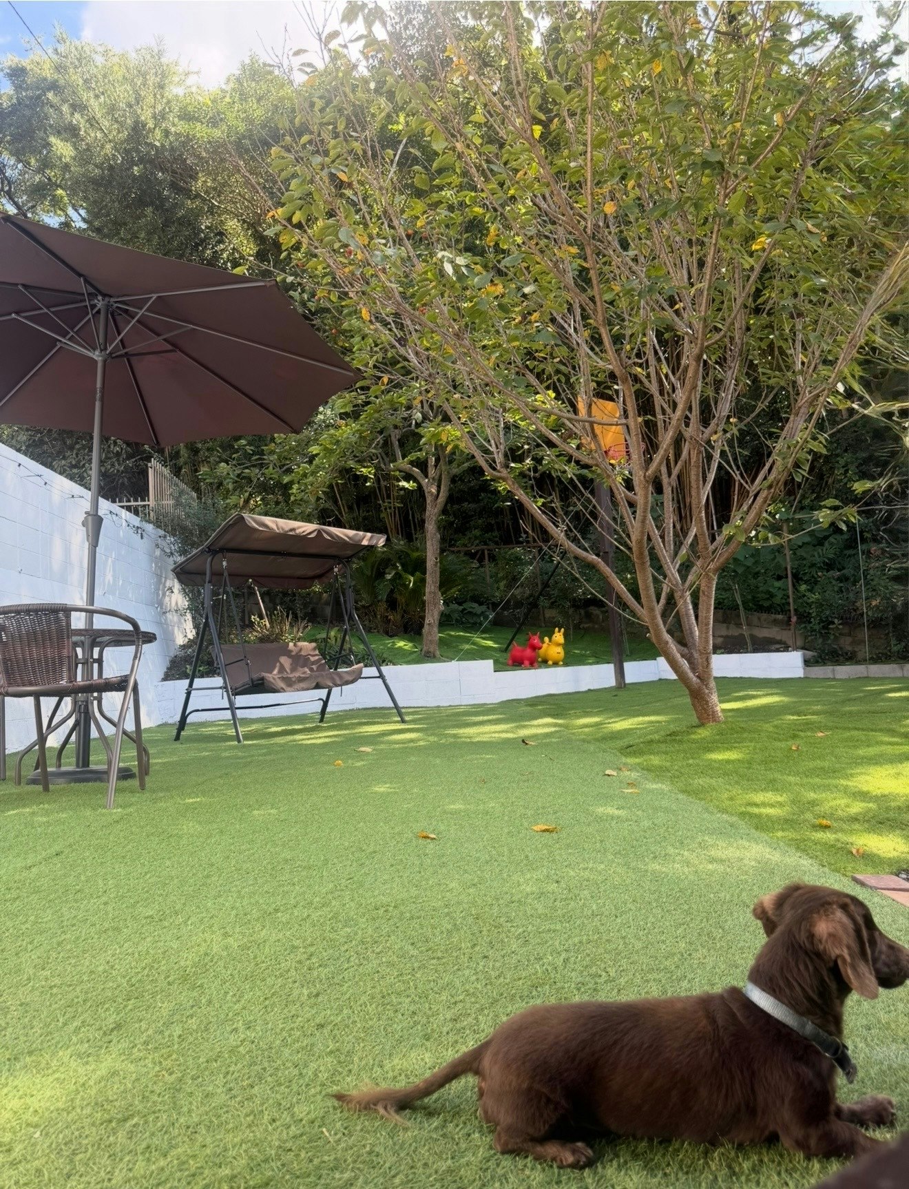 【ペット同伴OK】BBQ/焚き火/広々人工芝/37m2広々洋室/最大6名・ファミリー/グループ歓迎