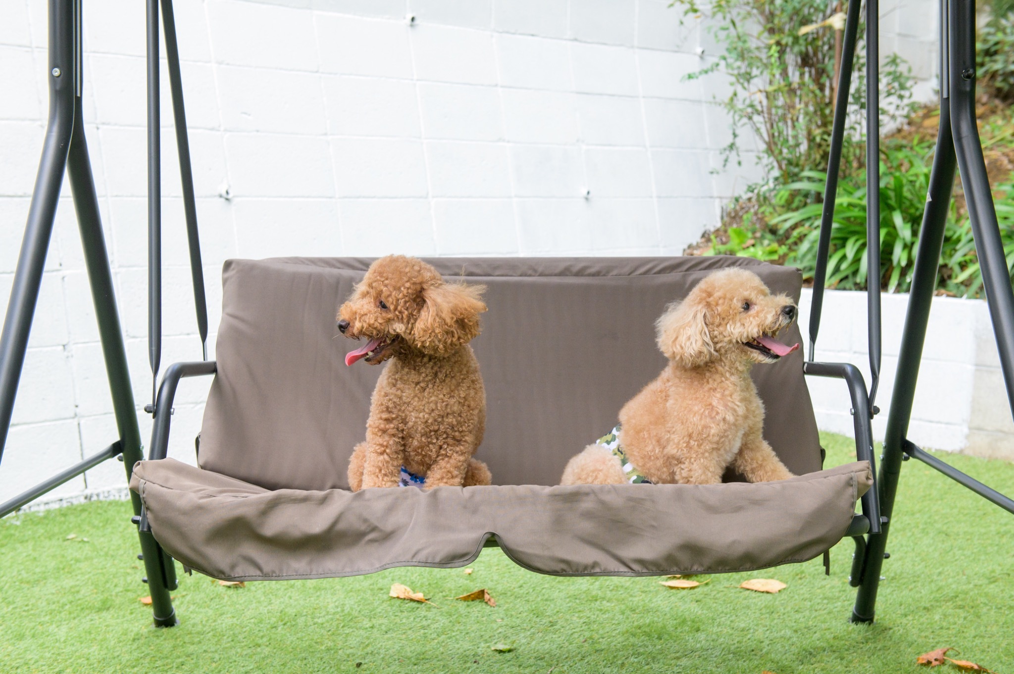 2タイプ客室の家族向け宿|2室で最大14名・ペット可客室あり のnull