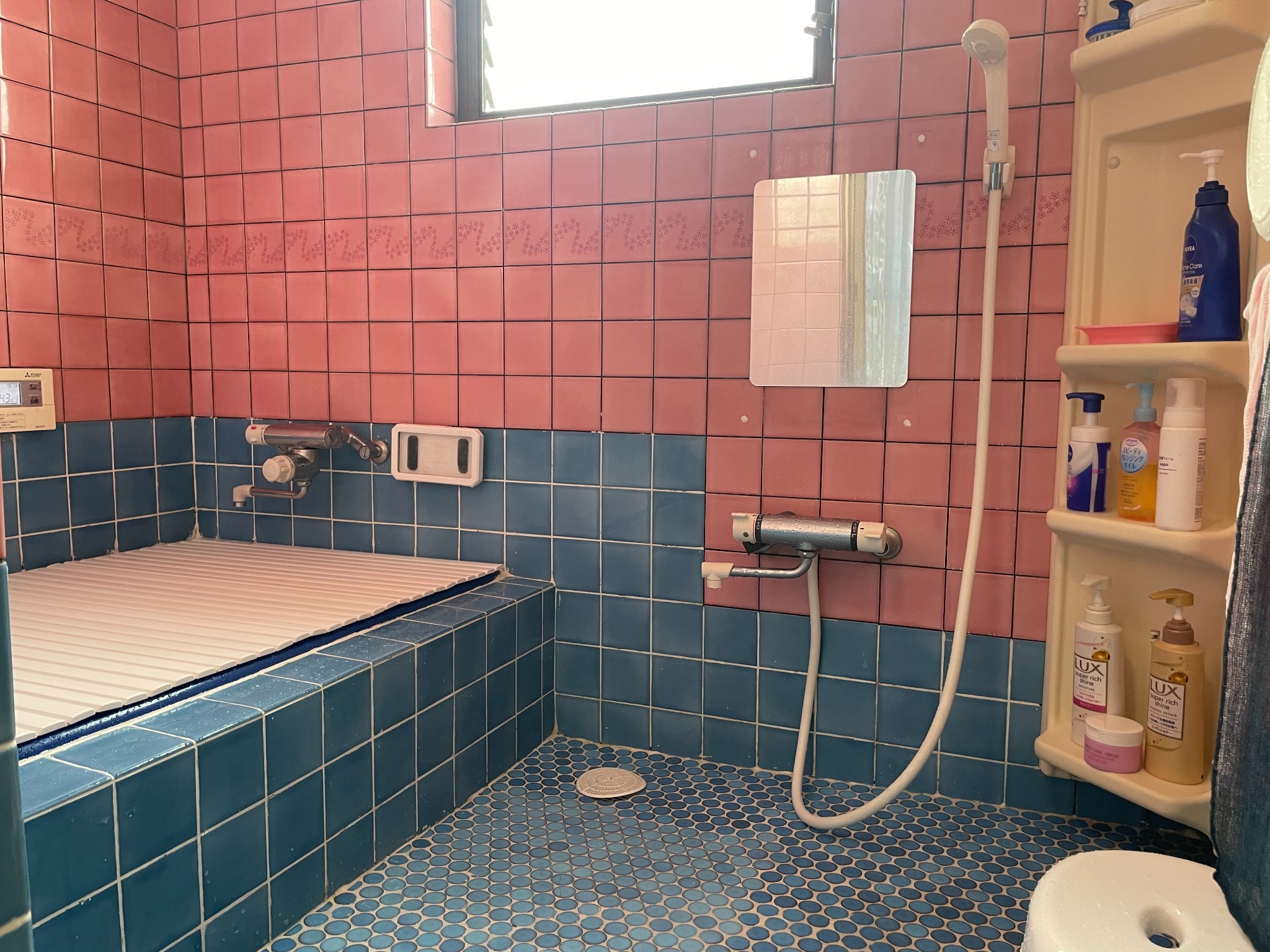 湖白【コハクチョウ舞う湖畔の町】伝統的な1階和室