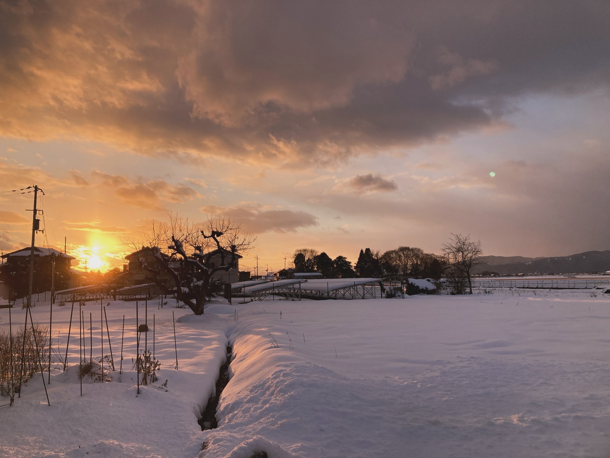 湖白【コハクチョウ舞う湖畔の町】伝統的な1階和室