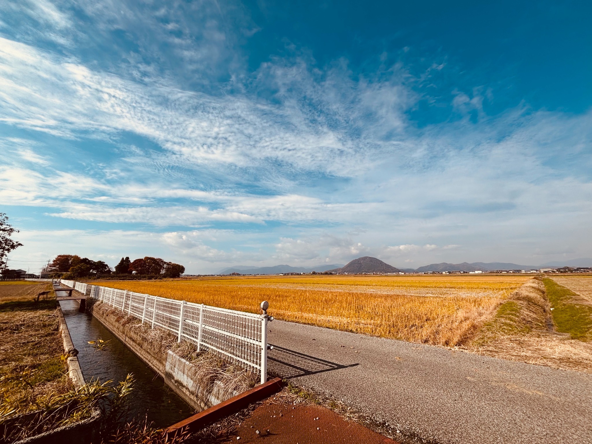 湖白【コハクチョウ舞う湖畔の町】夕日が美しい2階洋室