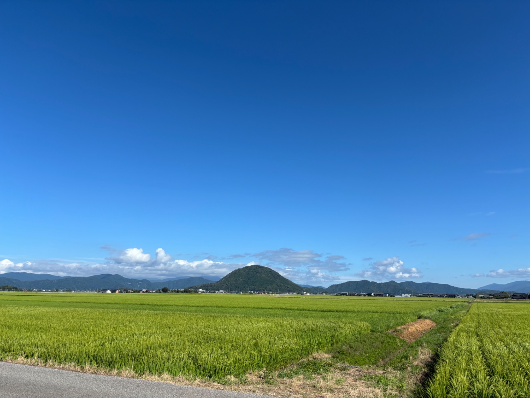 湖白【コハクチョウ舞う湖畔の町】田園風景が美しい2階和室