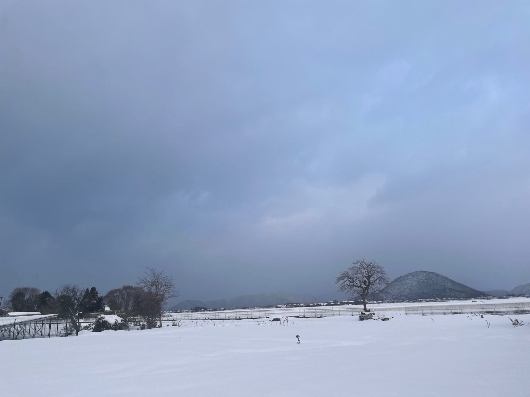 湖白【コハクチョウ舞う湖畔の町】田園風景が美しい2階和室