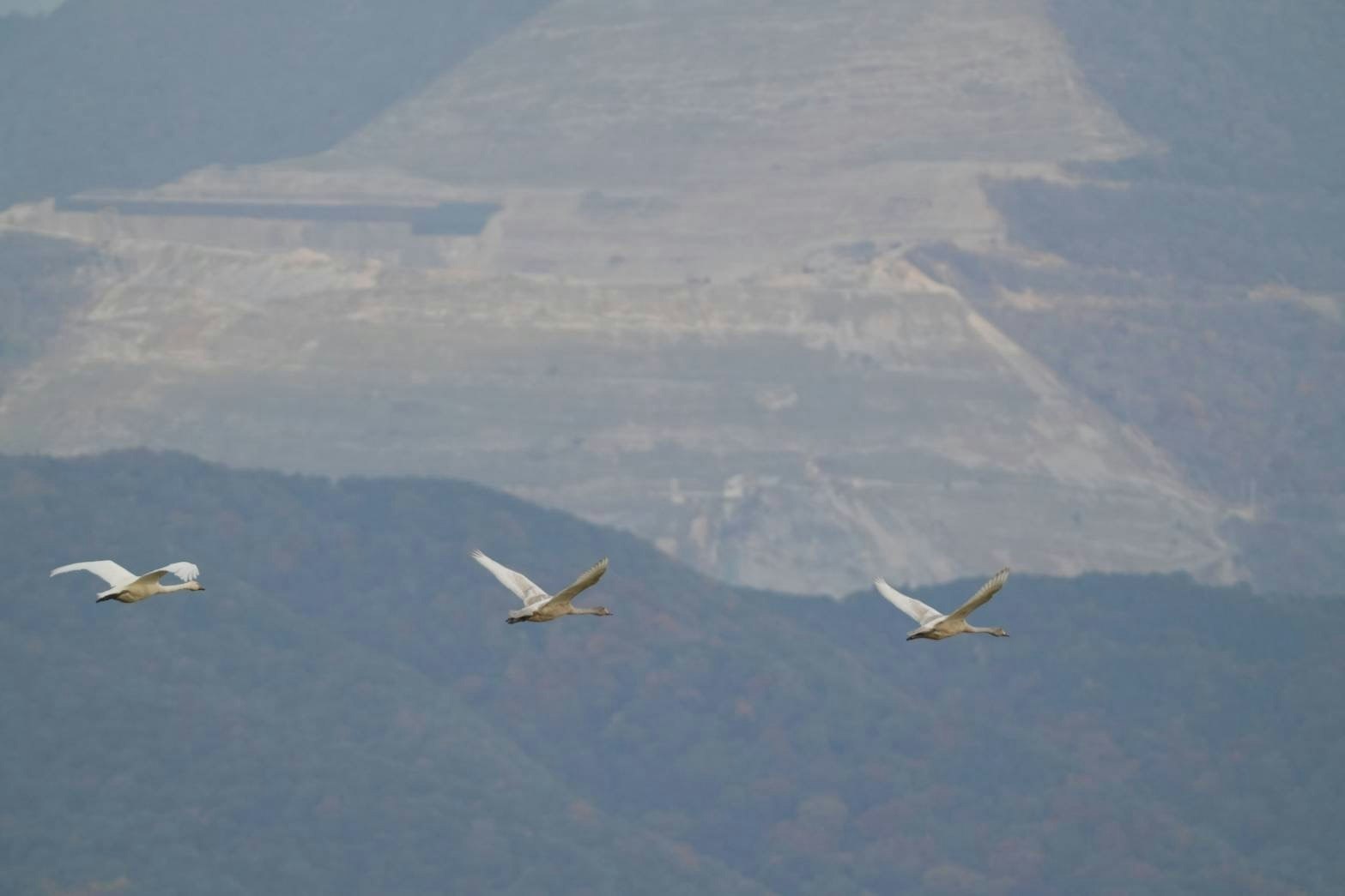湖白【コハクチョウ舞う湖畔の町】田園風景が美しい2階和室