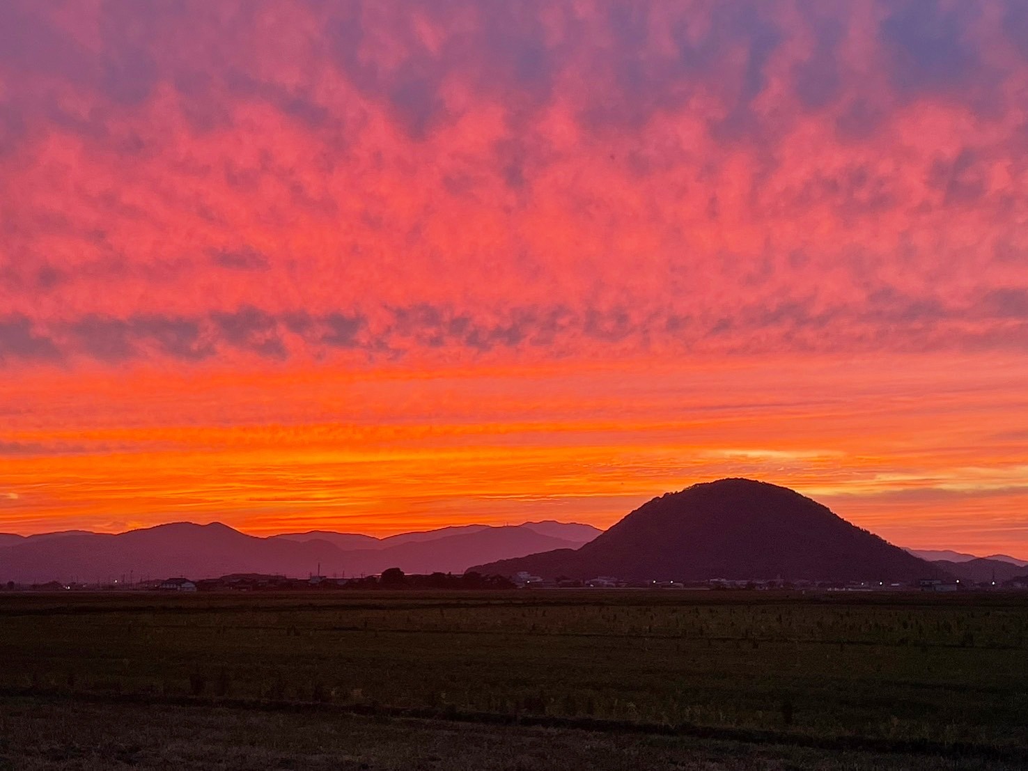 湖白【コハクチョウ舞う湖畔の町】田園風景が美しい2階和室