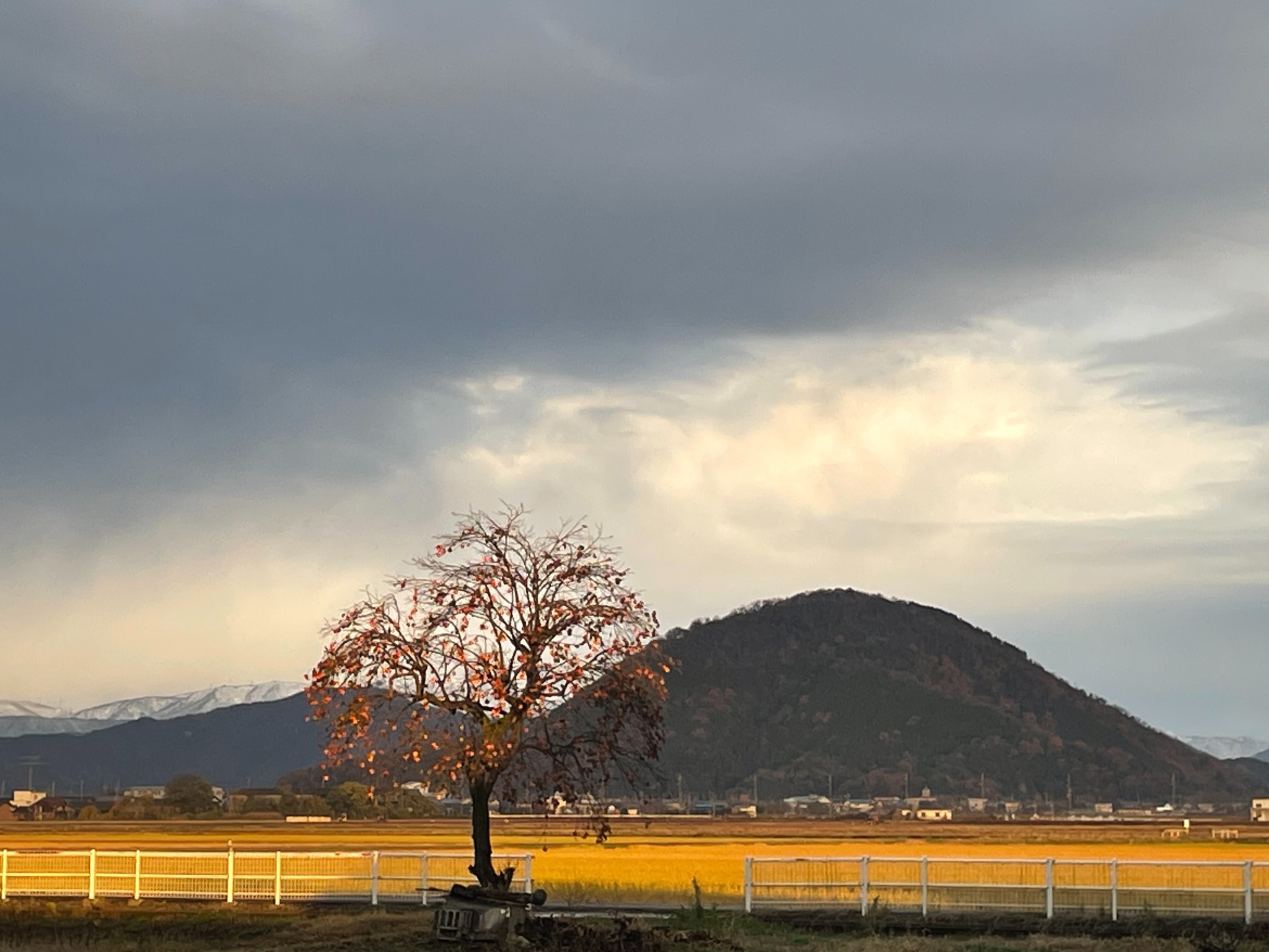 湖白【コハクチョウ舞う湖畔の町】田園風景が美しい2階和室