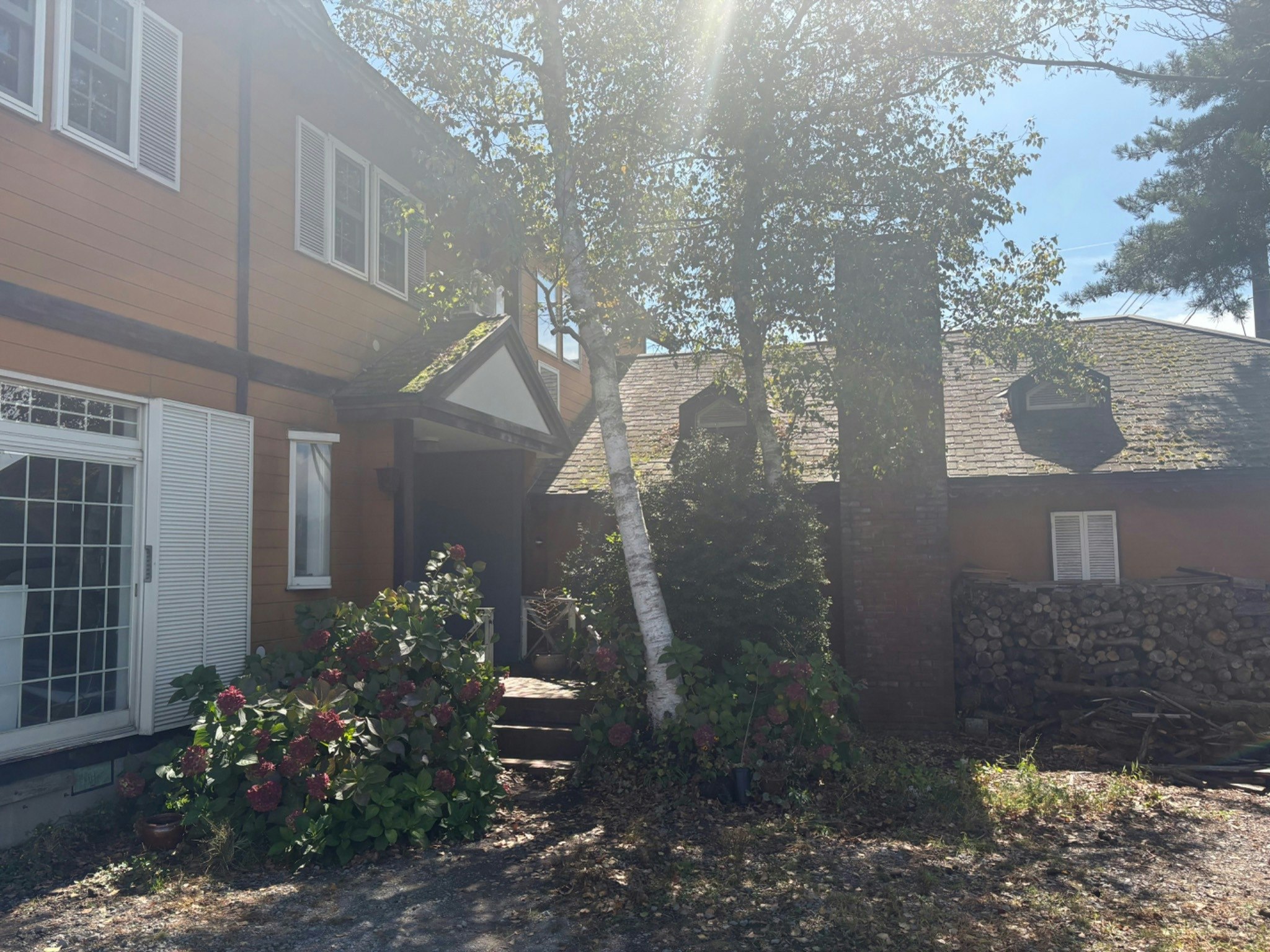 ”パパン”と期間限定少人数プラン