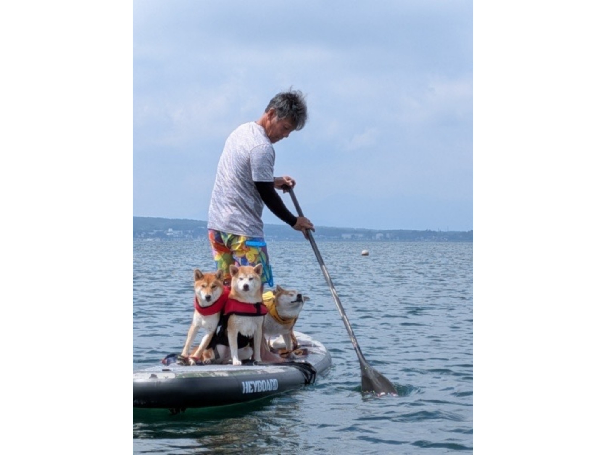 山小屋 紡 のnull